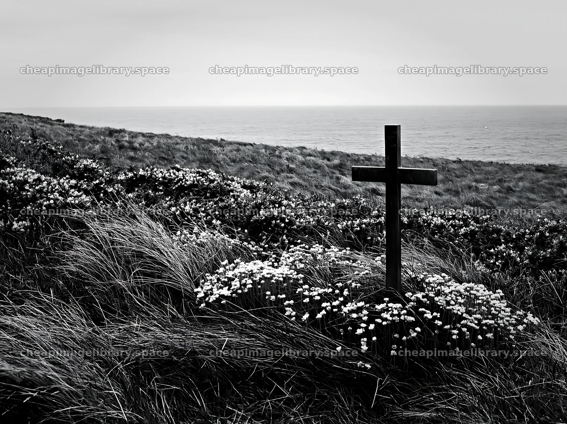 Christian cross in meadow by the sea during Christmas time – image library 9174x6866