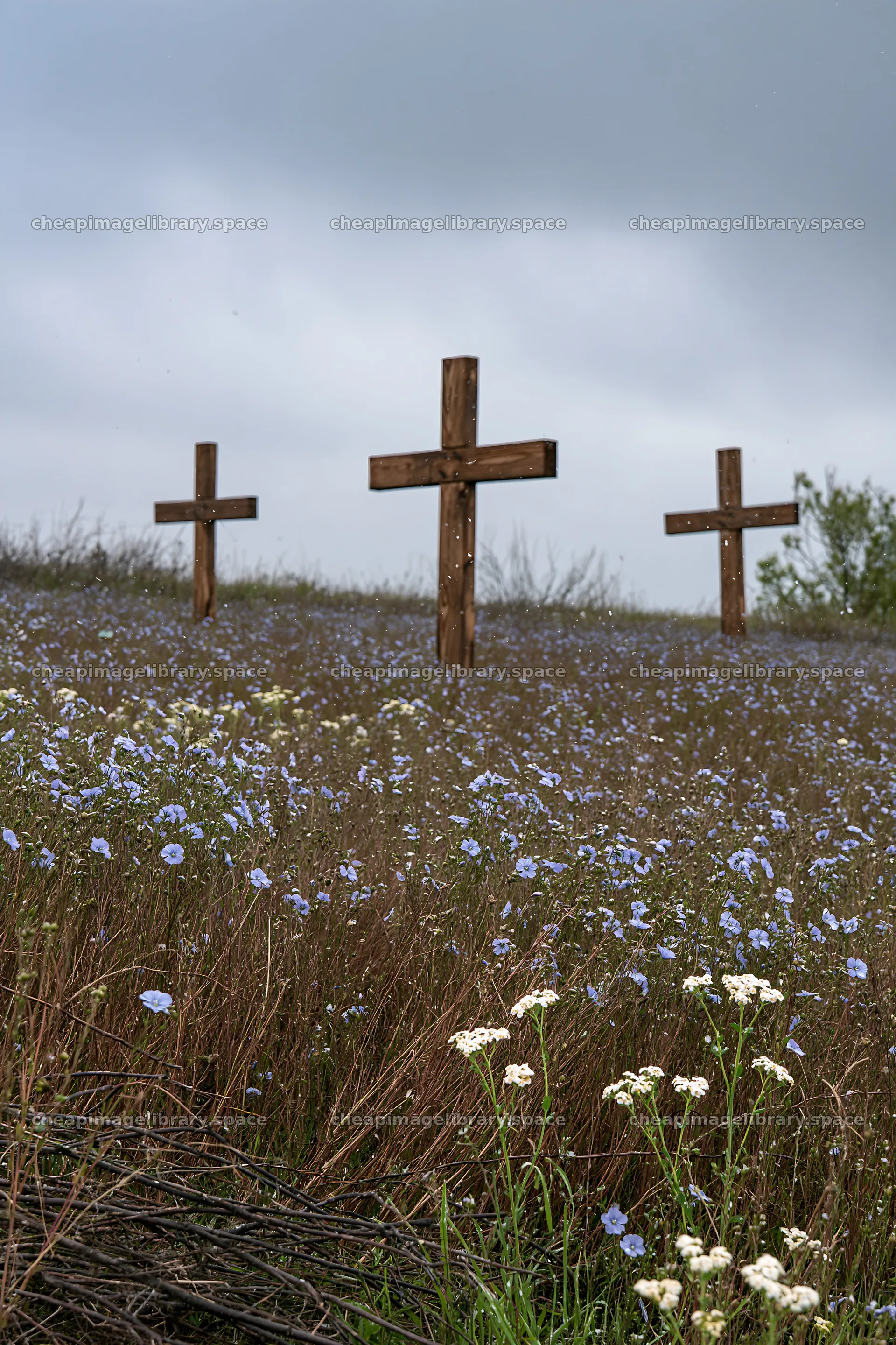 Rustic crosses in winter meadow with wildflowers – image library 6480x9722