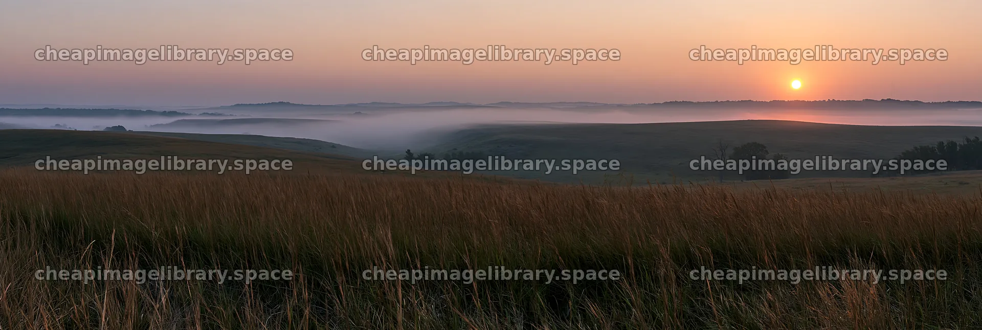 Sunrise over tall grass meadow with mist in the background – image library 13690x4602