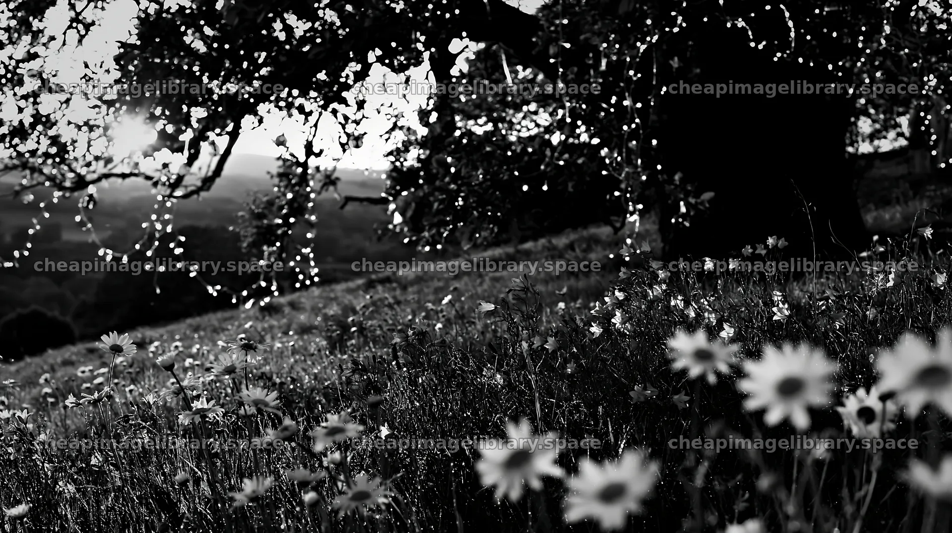 Vibrant Christmas lights hang in a meadow with flowers – image library 10608x5938