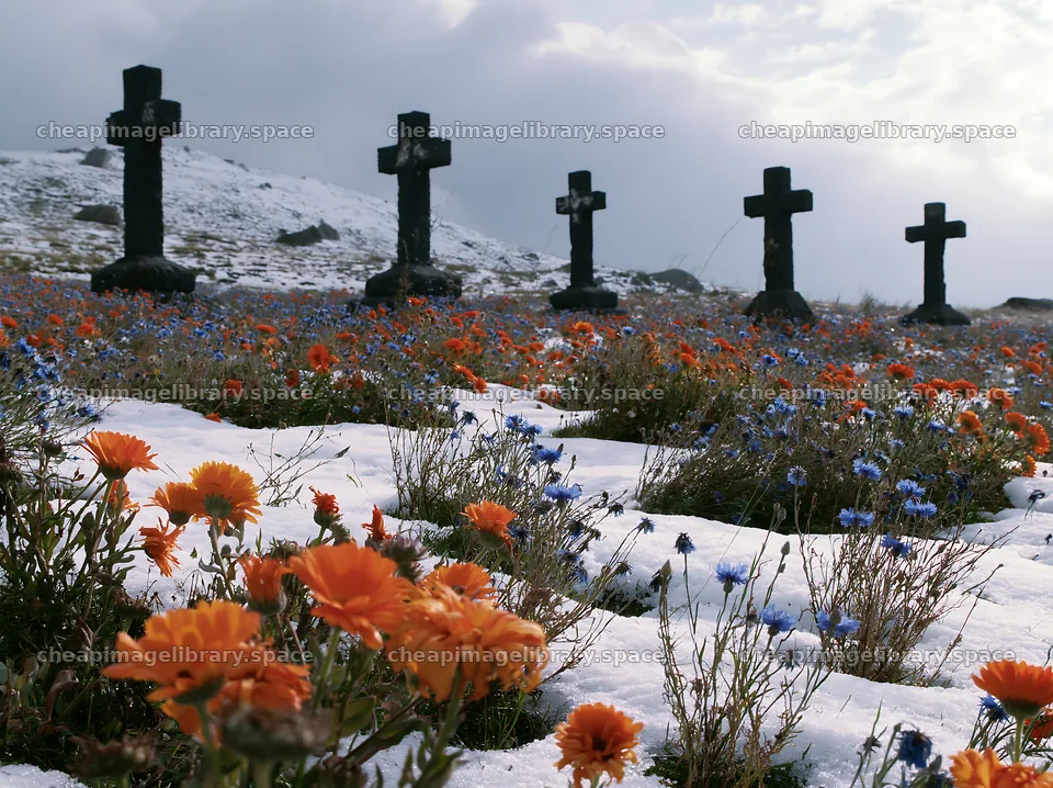 Multiple Christian crosses in snowy meadow with flowers – image library 9174x6866