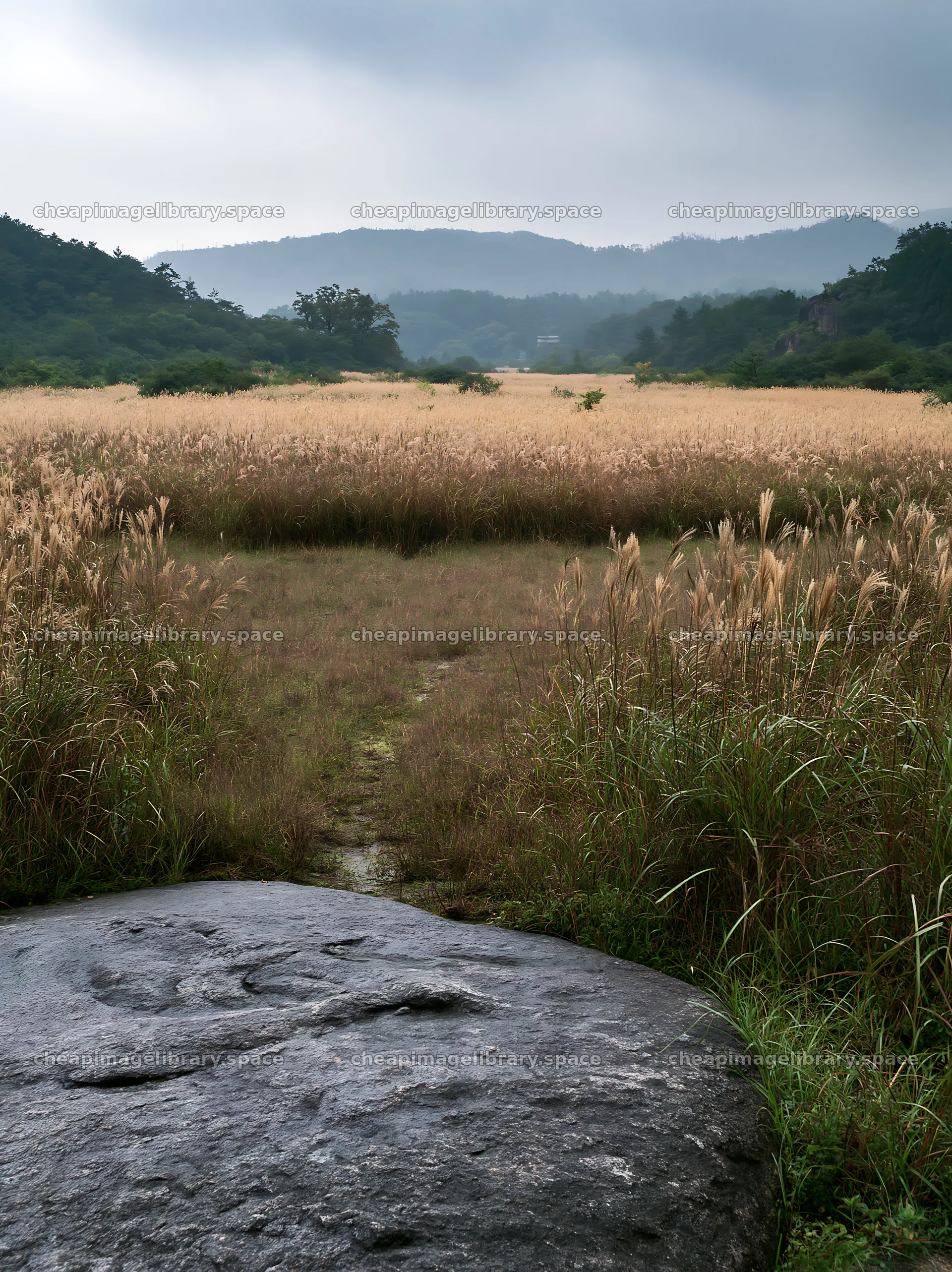 Hiroshima meadow with smooth rock and grass in rainy weather – image library 6866x9174