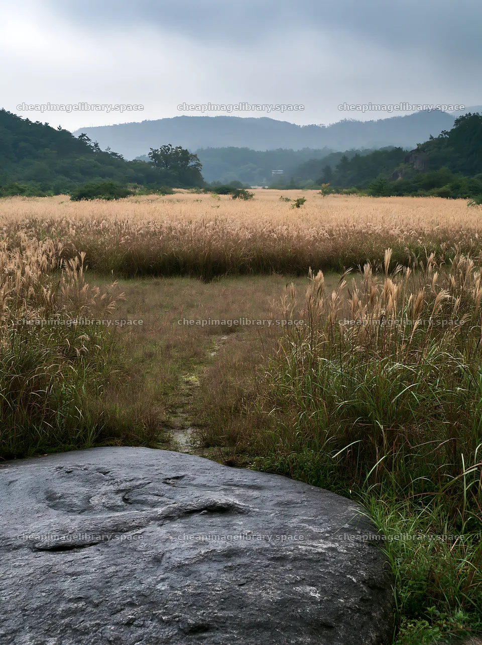 Hiroshima meadow with smooth rock and grass in rainy weather – image library 6866x9174