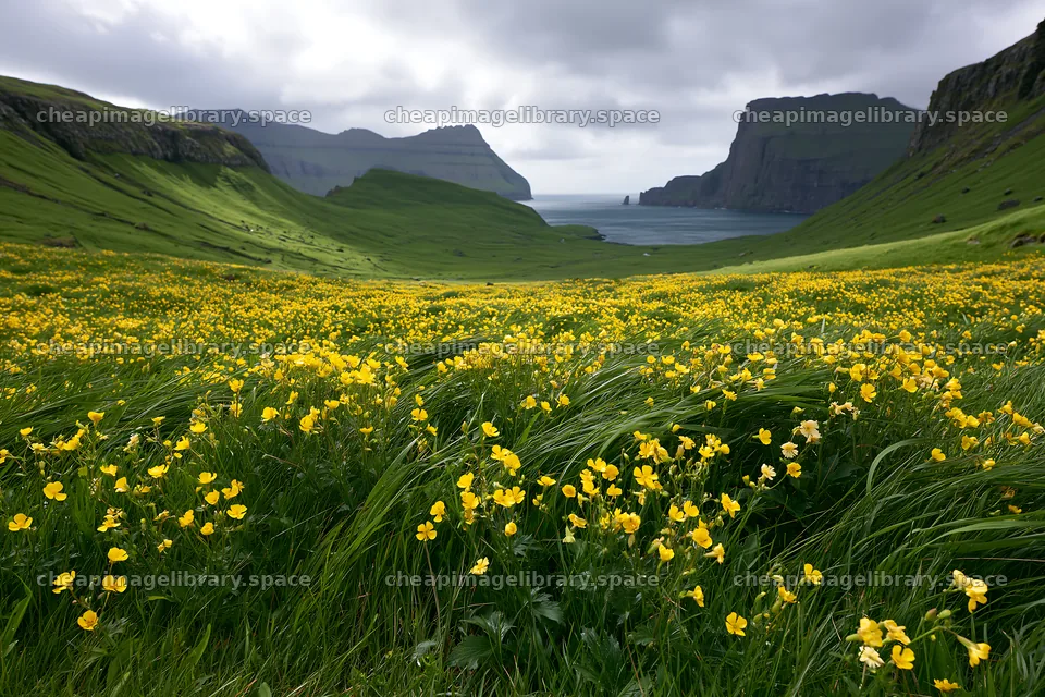 Rolling valley with yellow flowers and cloudy sky – image library 9722x6480