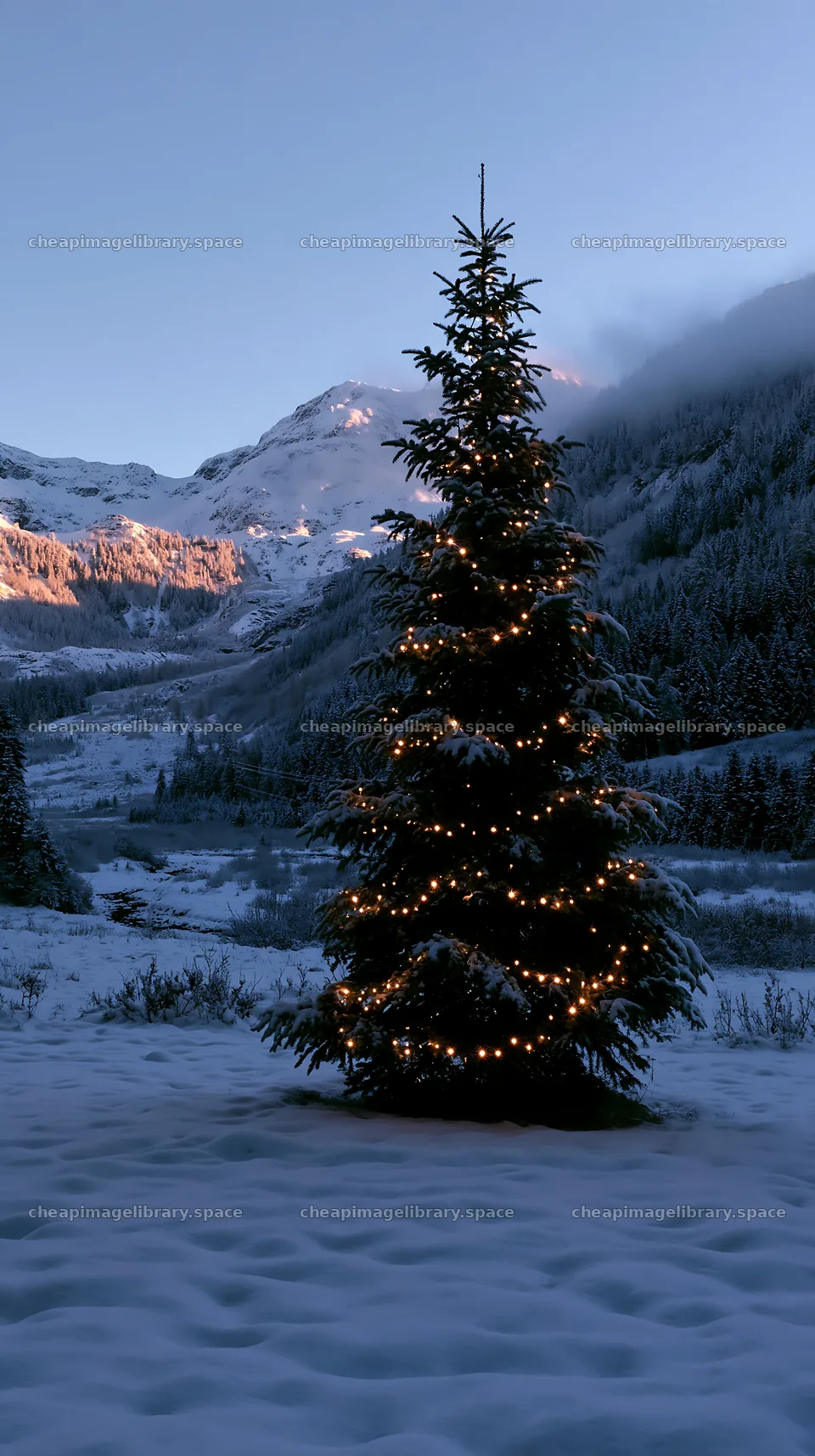 Christmas tree with lights in snowy mountain valley meadow – image library 5938x10608