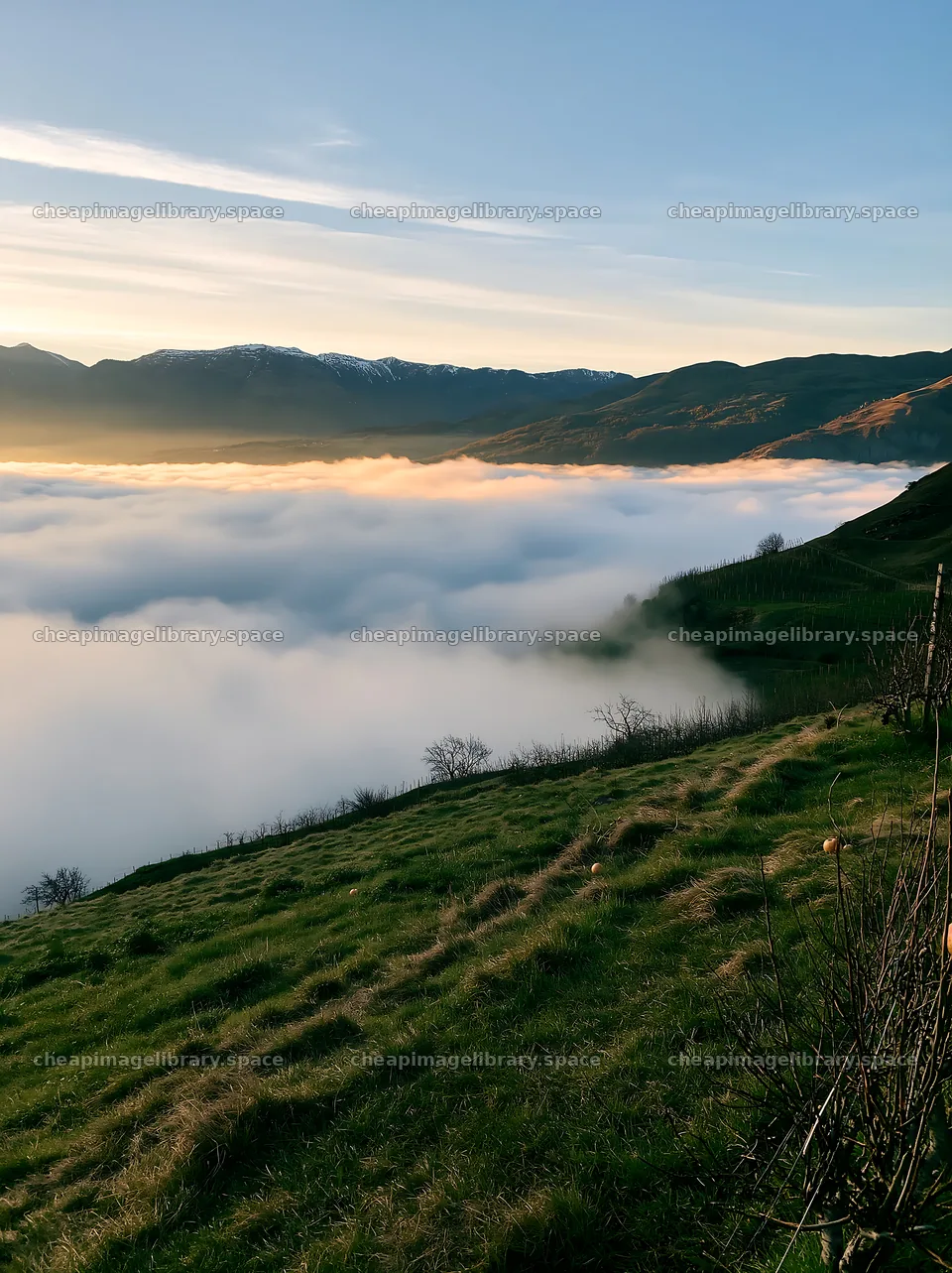 Highland apple meadow with clouds and mountains in the distance – image library 6866x9174