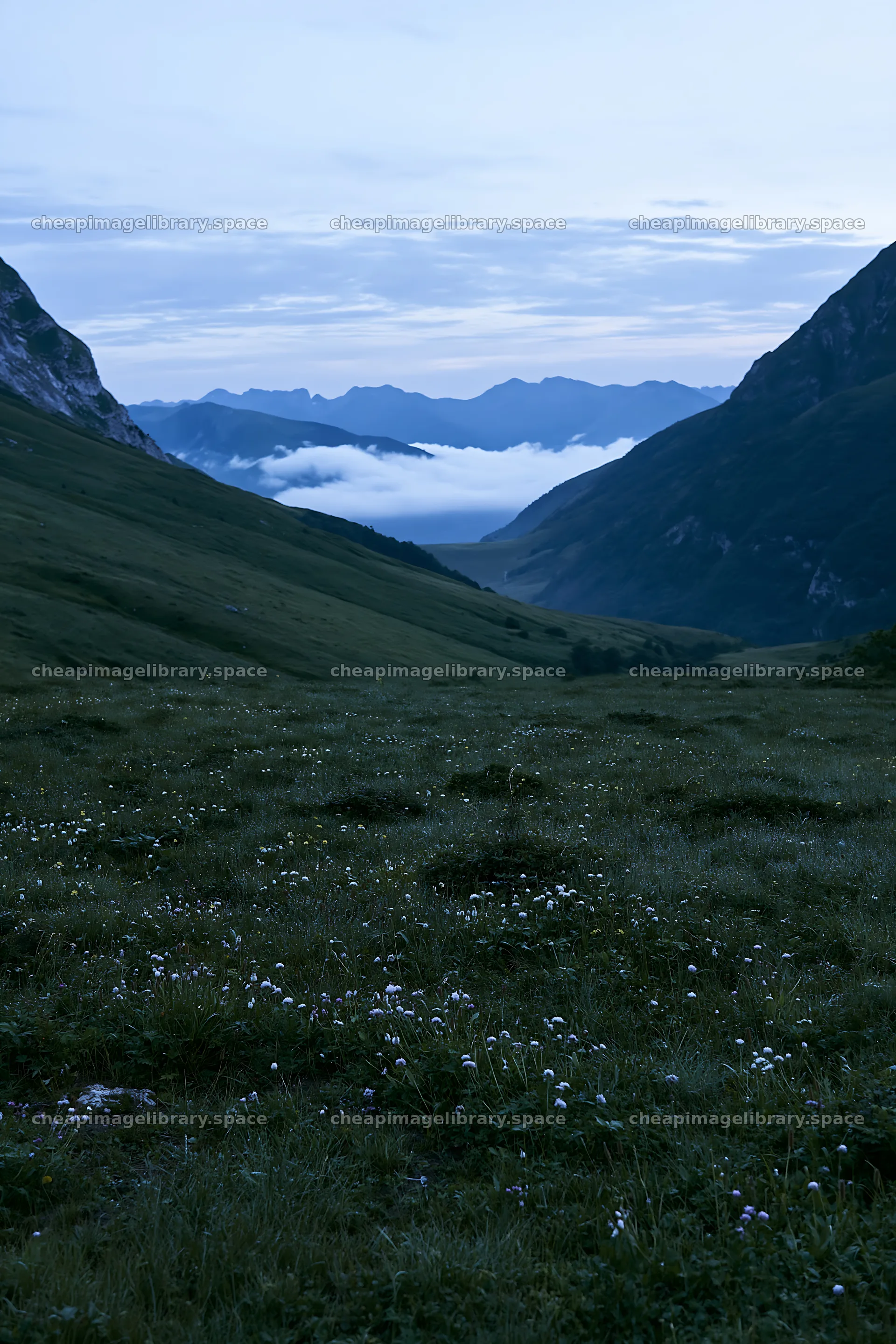 Meadow with dew in a valley surrounded by mountains – image library 6480x9722