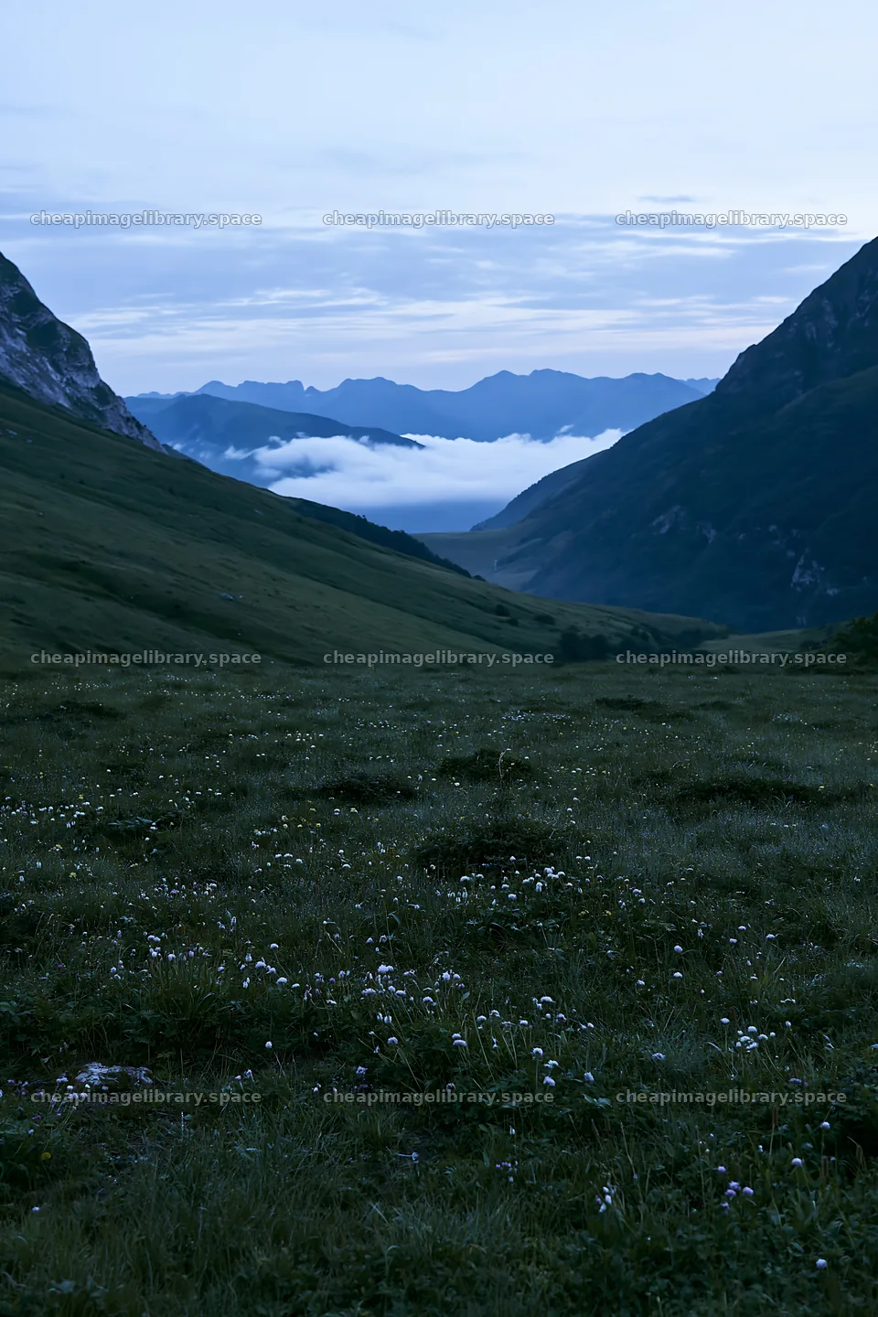 Meadow with dew in a valley surrounded by mountains – image library 6480x9722