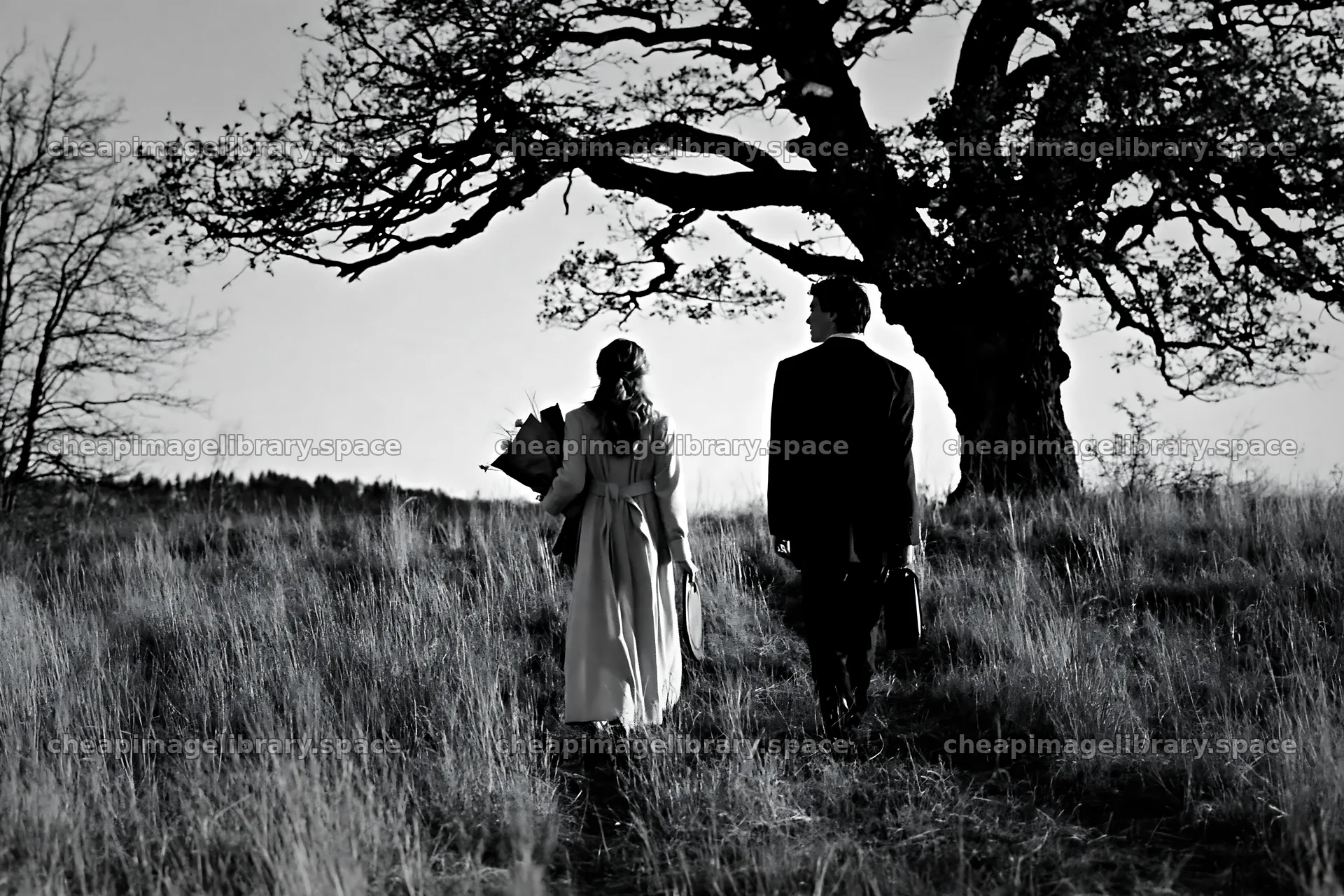 Couple walking in meadow near tree during sunset – image library 9722x6480