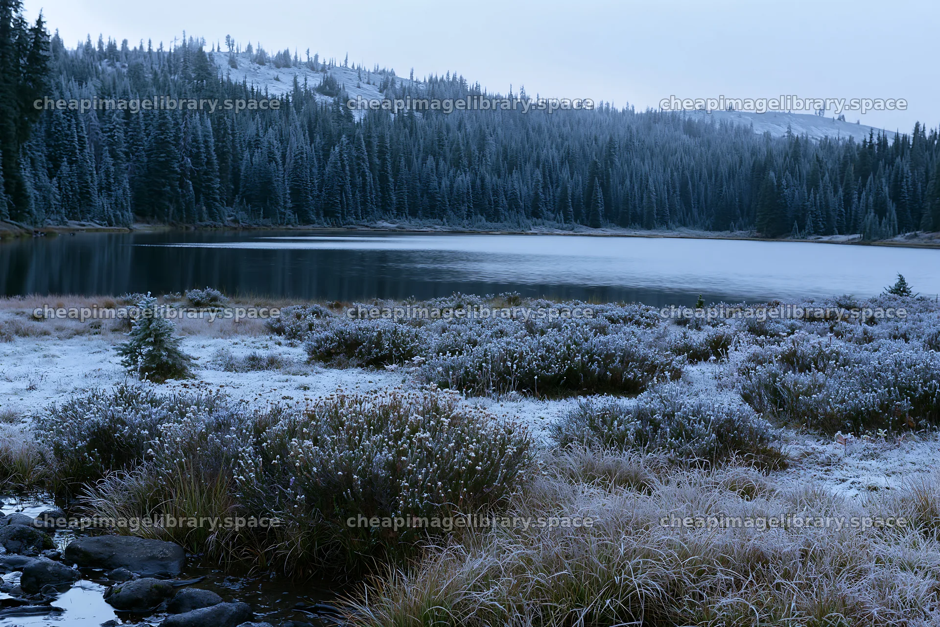 Lakeside meadow covered in snow near frozen water – image library 9722x6480