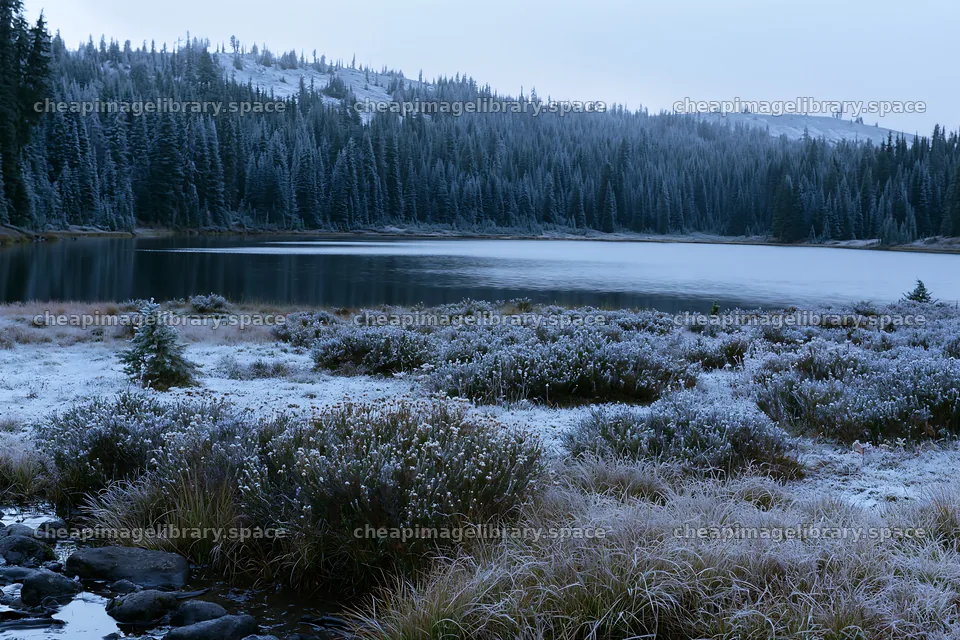 Lakeside meadow covered in snow near frozen water – image library 9722x6480
