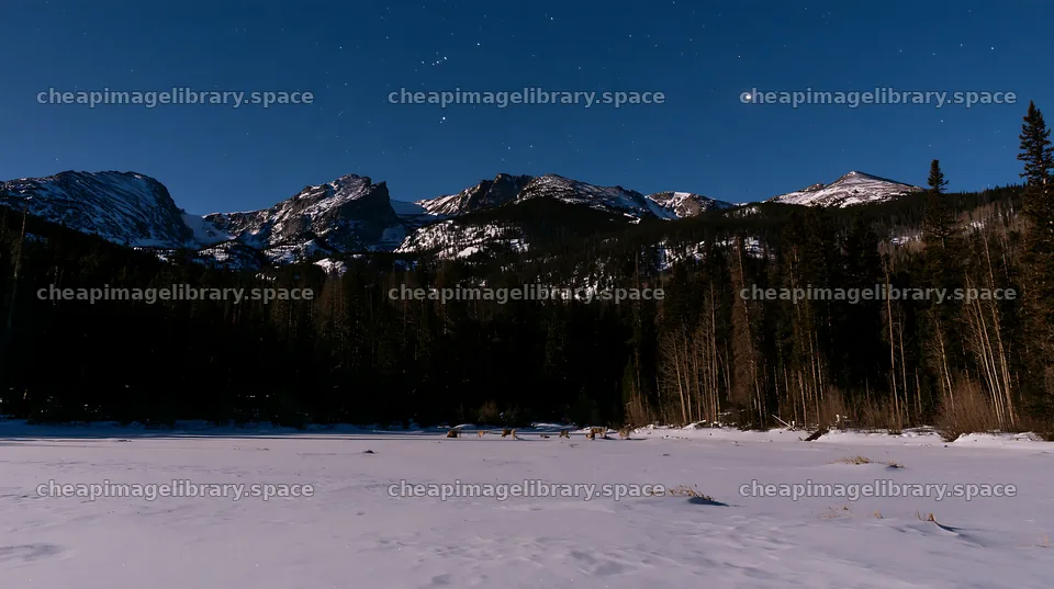 Snowy Rocky Mountain Park meadow under night sky – image library 10608x5938