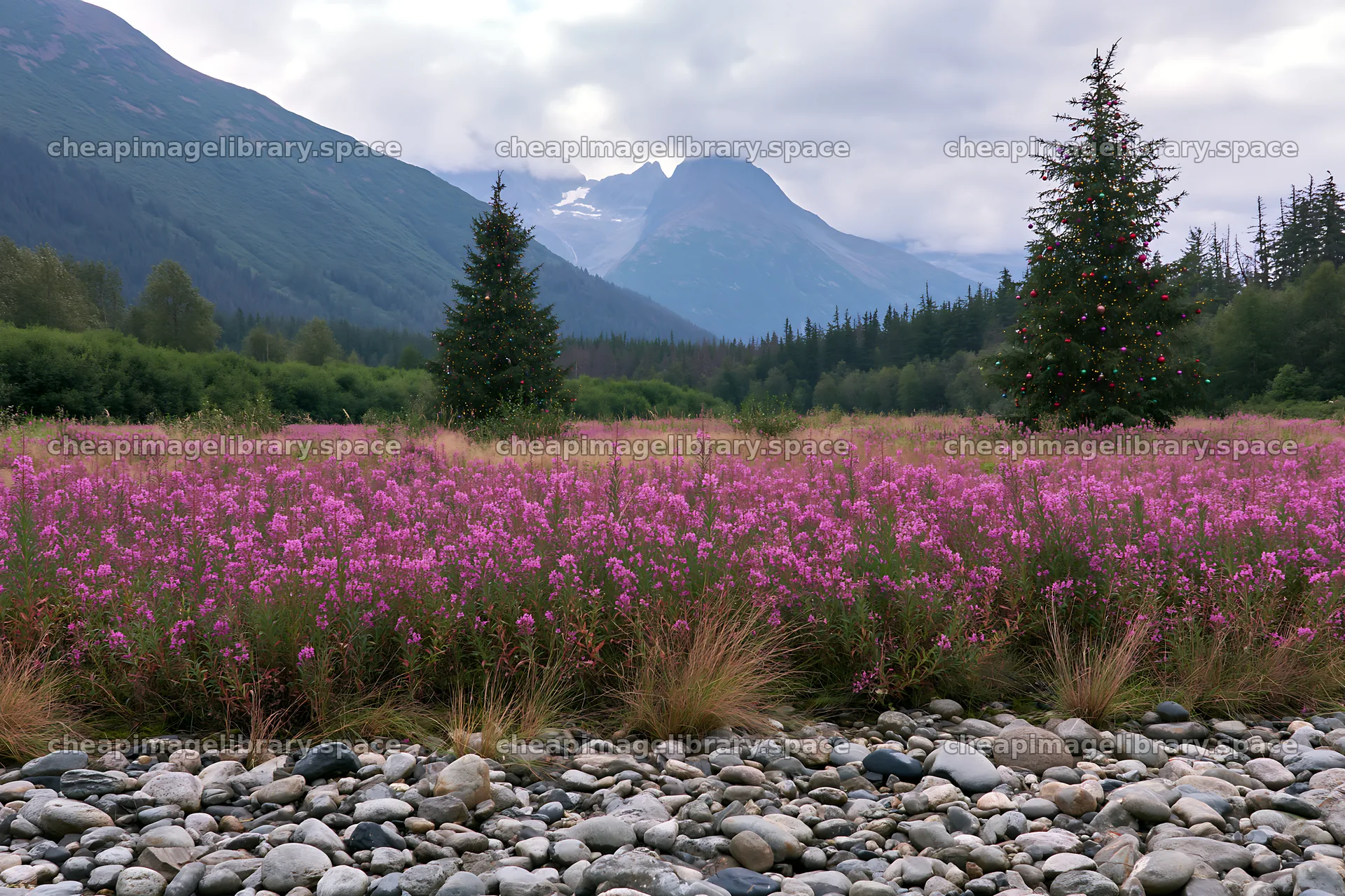 Wide Christmas meadow with native flowers and fairy lights – image library 9722x6480
