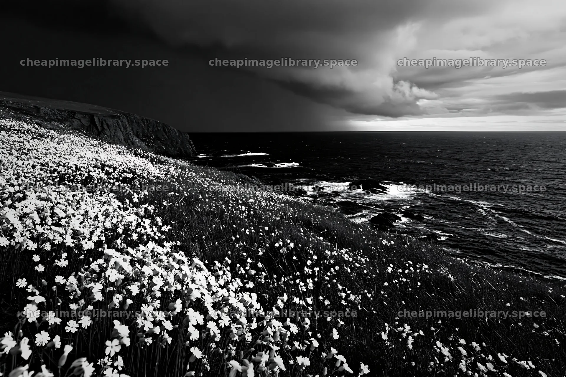 Clifftop meadow overlooking the ocean with dark clouds – image library 9722x6480