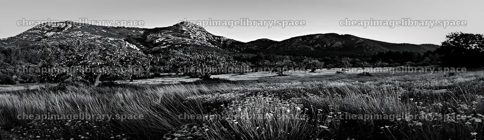 Apple tree meadow with mountains in a Christmas setting – image library 14762x4268