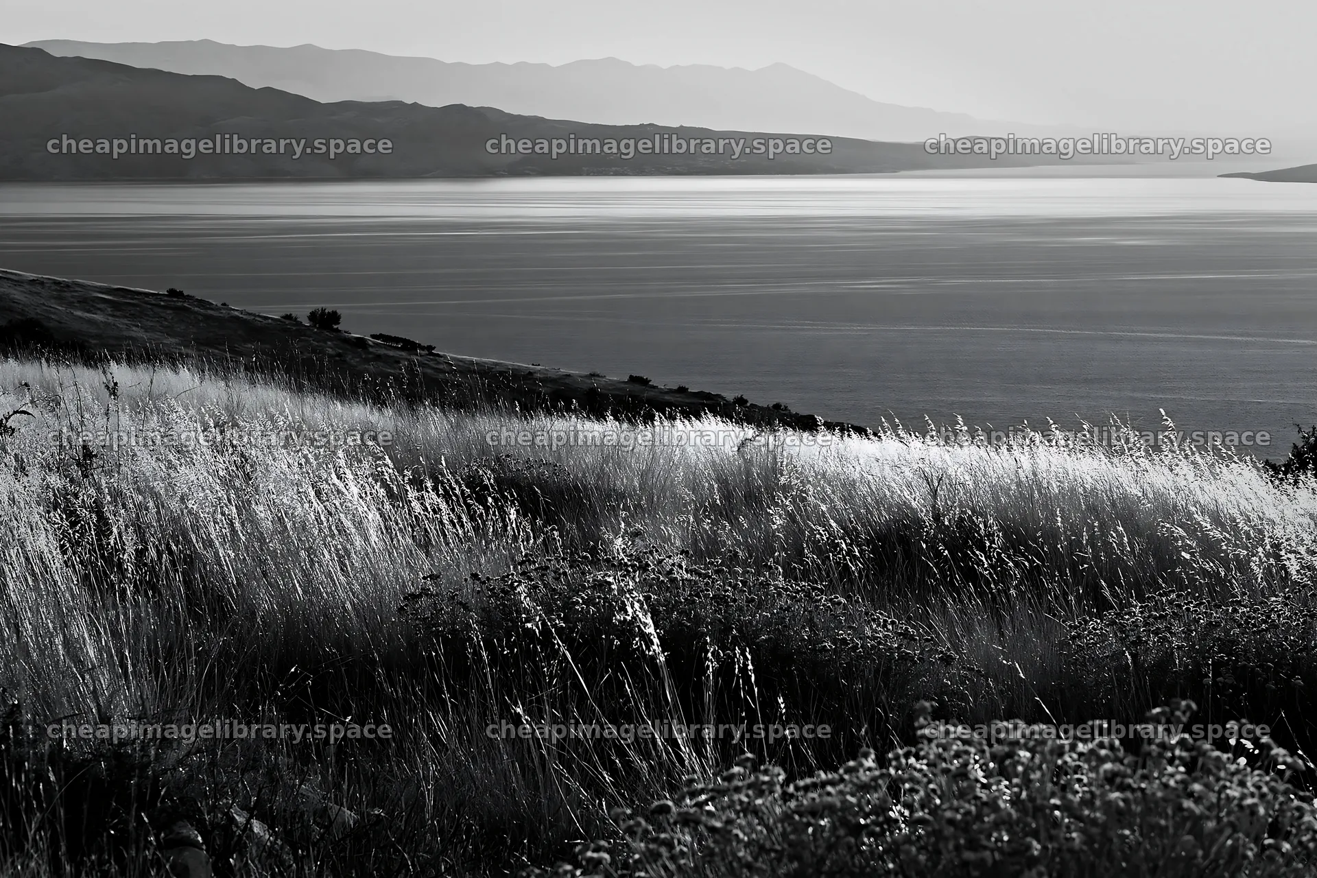 Croatian meadow above Adriatic coast during daylight – image library 9722x6480