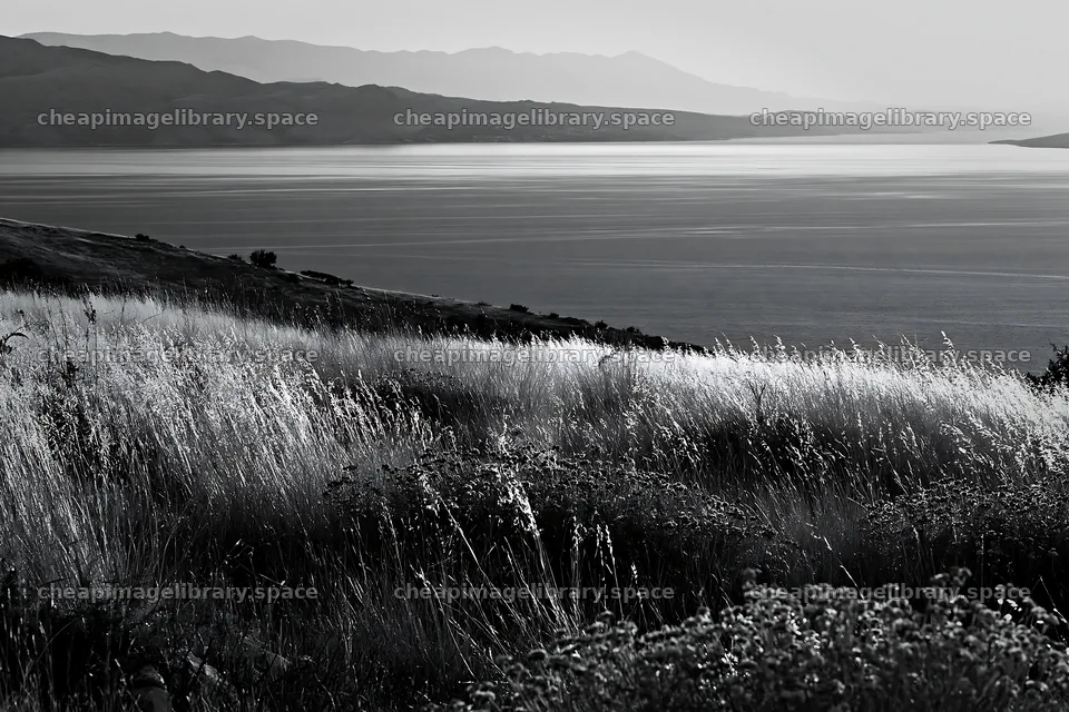 Croatian meadow above Adriatic coast during daylight – image library 9722x6480