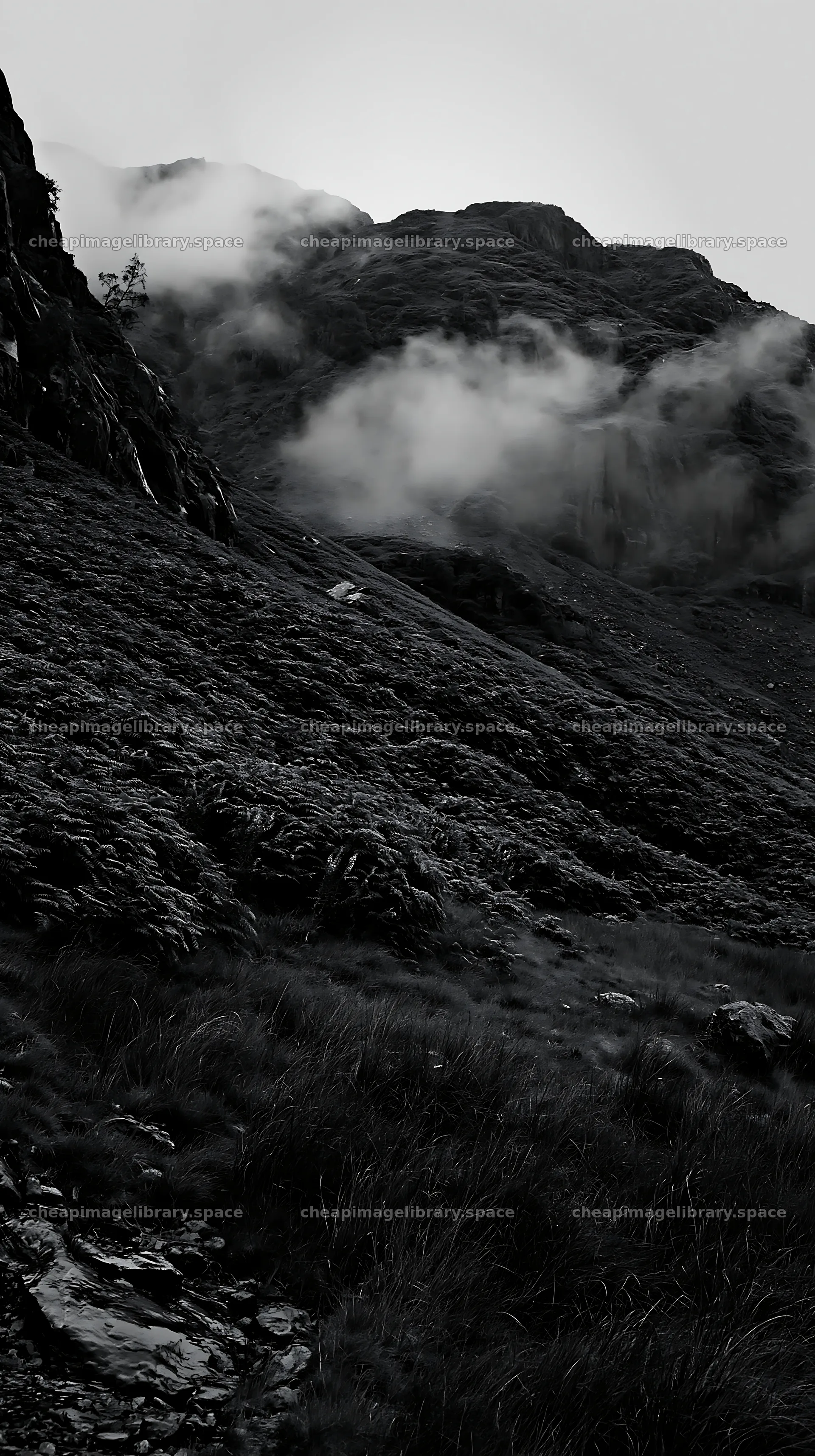 Meadow below crags with clouds in the background – image library 5938x10608