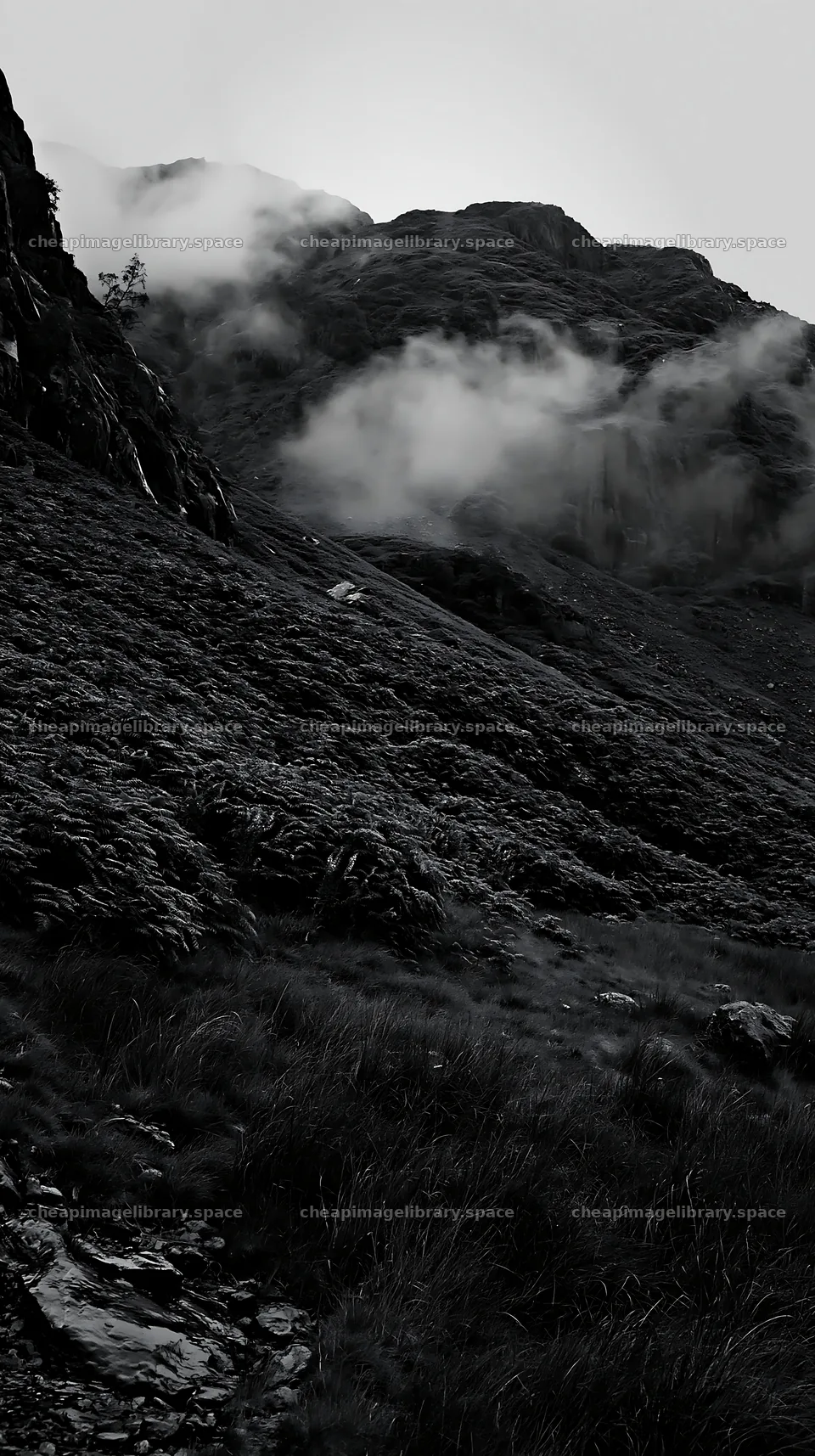 Meadow below crags with clouds in the background – image library 5938x10608