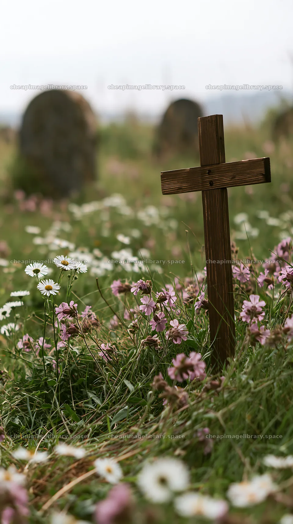 Wooden Christian cross in meadow with flowers during Christmas – image library 5938x10608