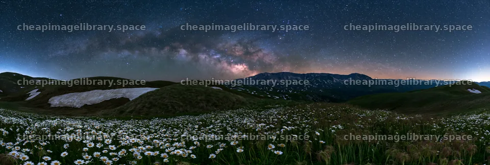 Starlit meadow with flowers under the night sky – image library 13690x4602