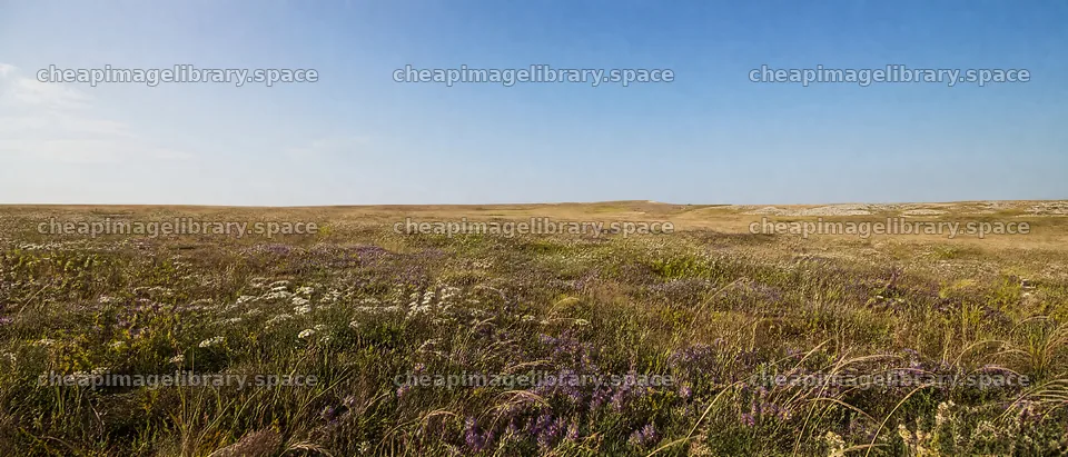 Sunny meadow with open space and dry grass – image library 12124x5196