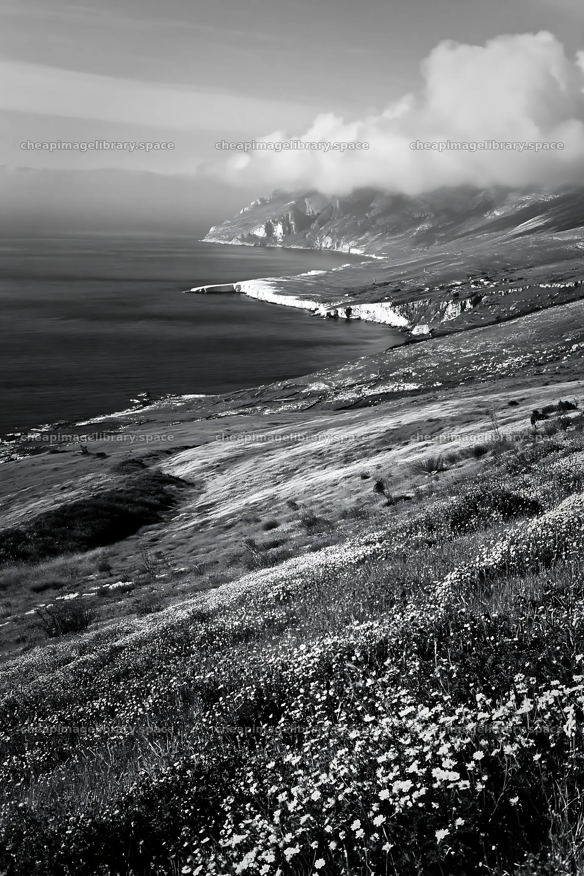 Italian meadow along rocky coast captures vibrant ocean view – image library 6480x9722