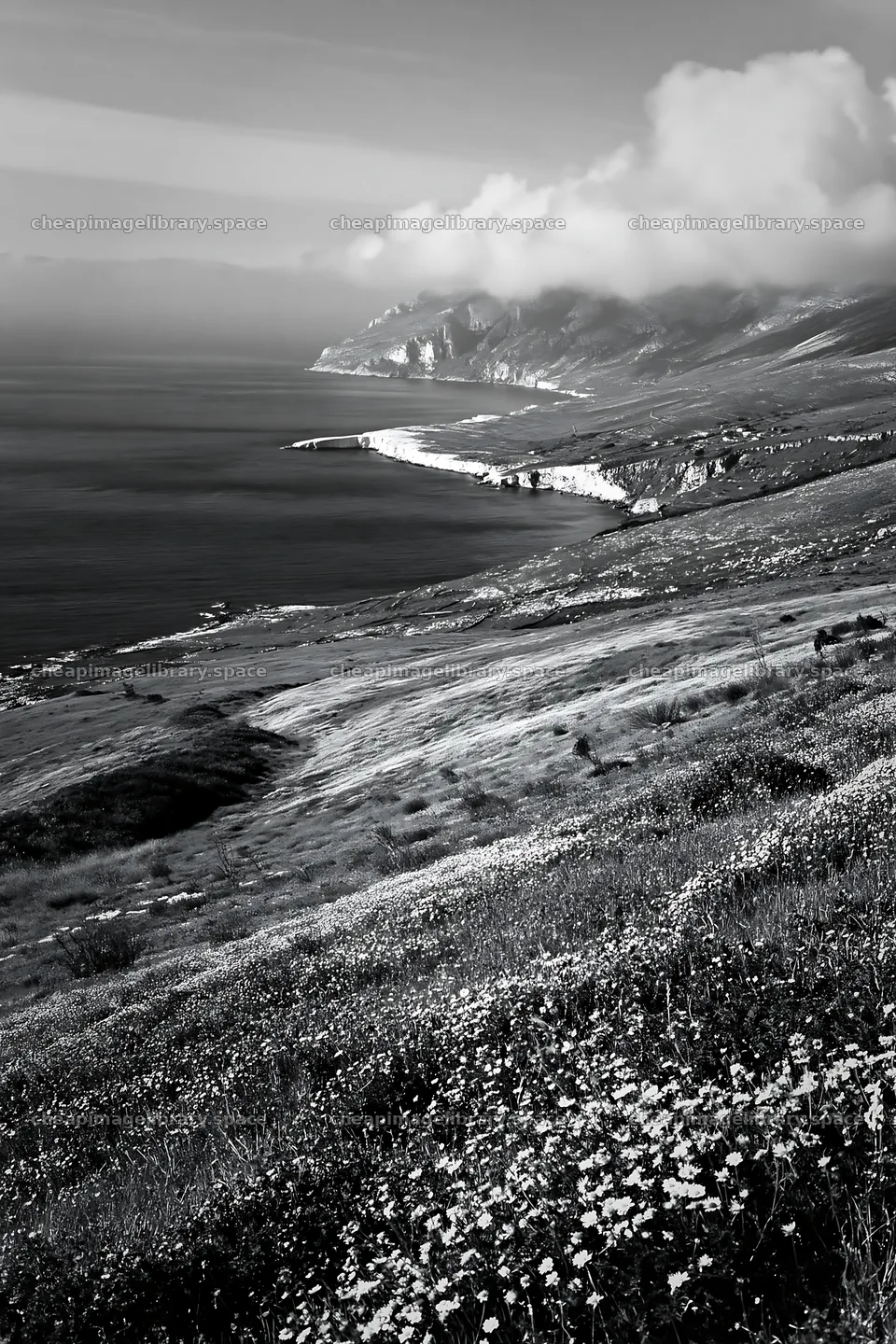 Italian meadow along rocky coast captures vibrant ocean view – image library 6480x9722