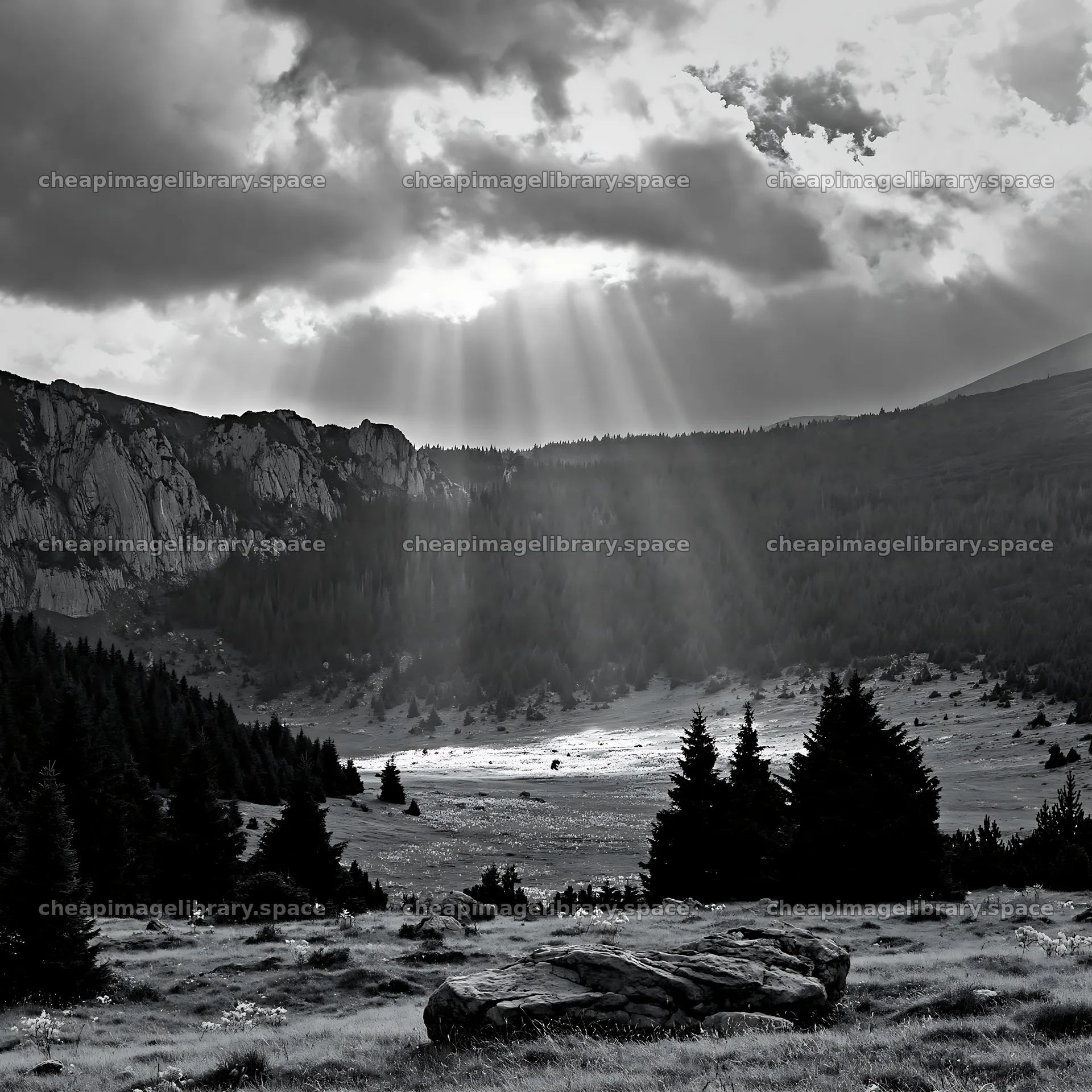 Light rays shine down on a meadow in Bucegi Mountains – image library 7938x7938