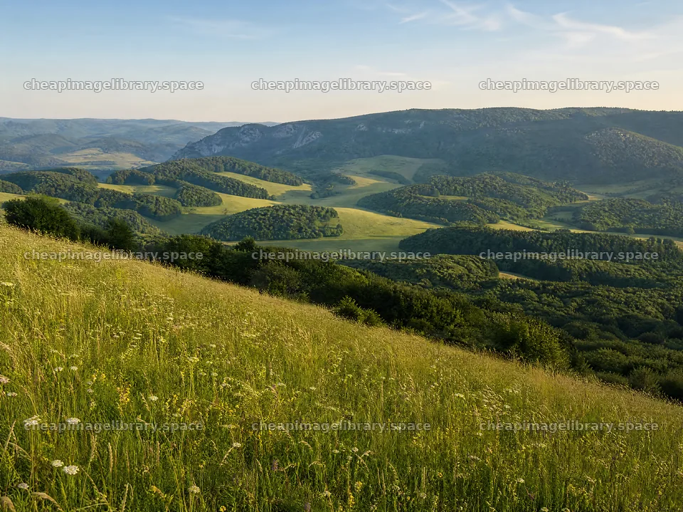 Rewilding meadow with lush green hills and open valleys – image library 9172x6868