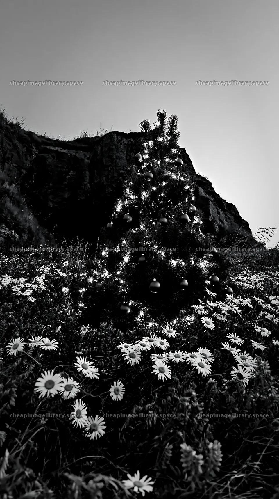 Christmas tree with ornaments in meadow by cave – image library 5938x10608