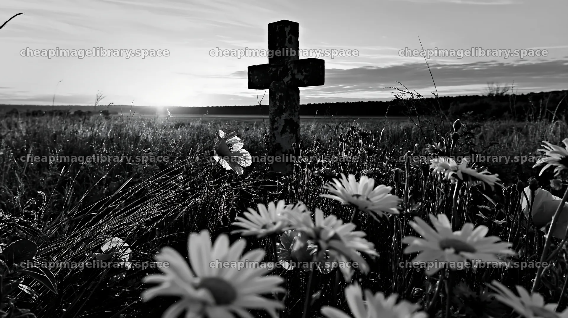 Christian cross at sunrise with flowers in the meadow – image library 10608x5938