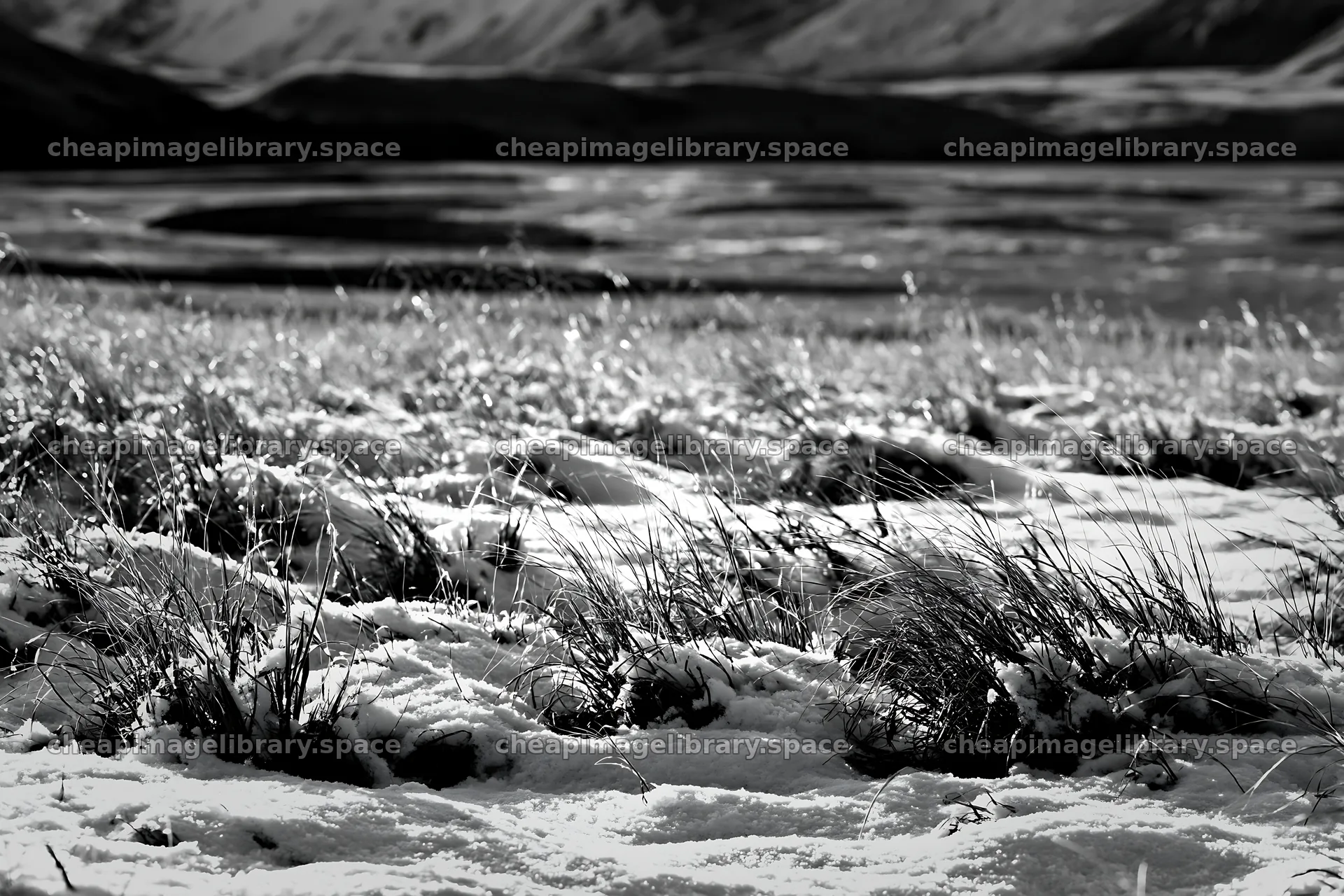Lakeside meadow after first snowfall shows nature in winter – image library 9722x6480