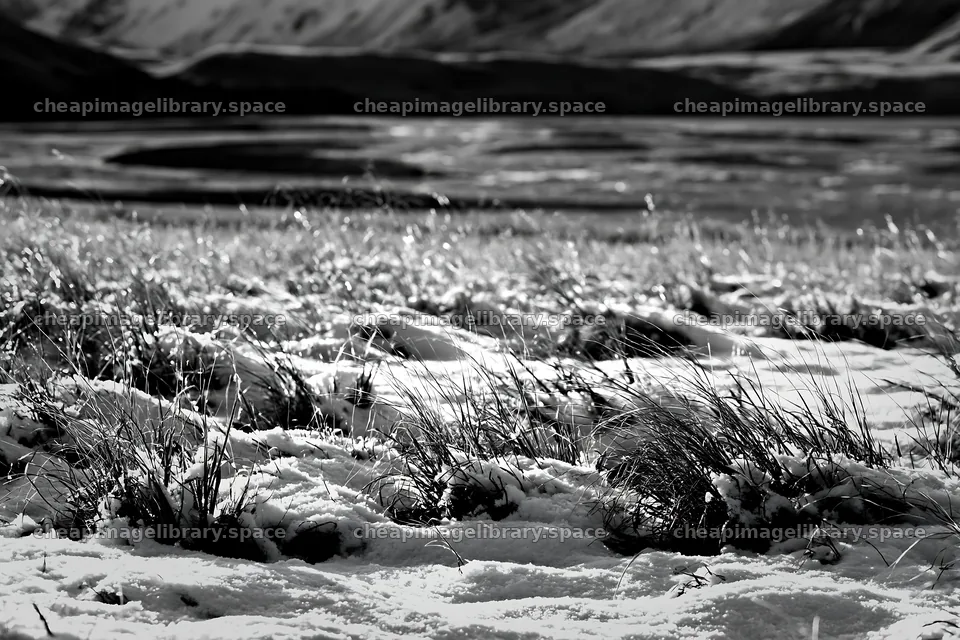 Lakeside meadow after first snowfall shows nature in winter – image library 9722x6480