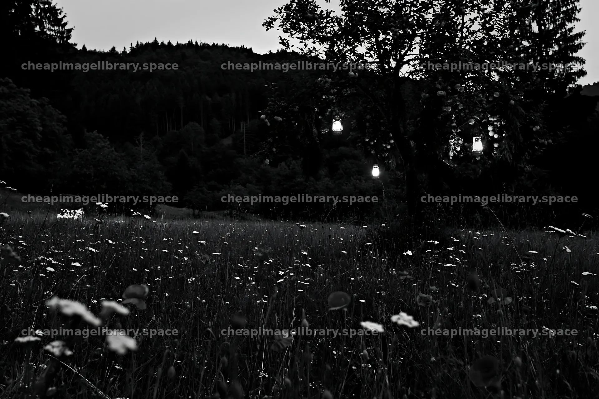 Christmas meadow with apple tree and garlands of bracken – image library 9722x6480