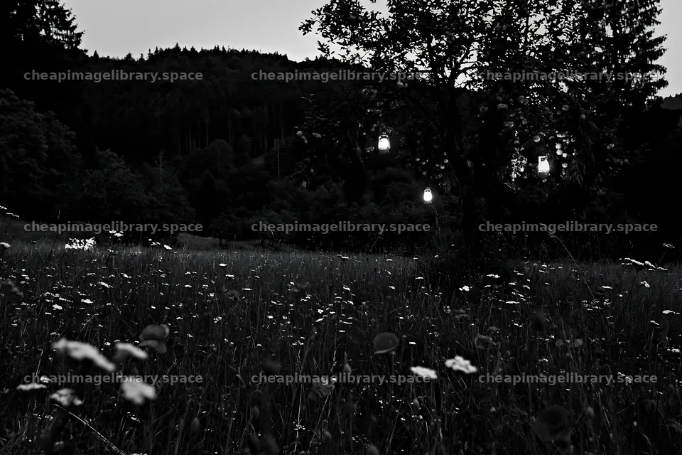 Christmas meadow with apple tree and garlands of bracken – image library 9722x6480