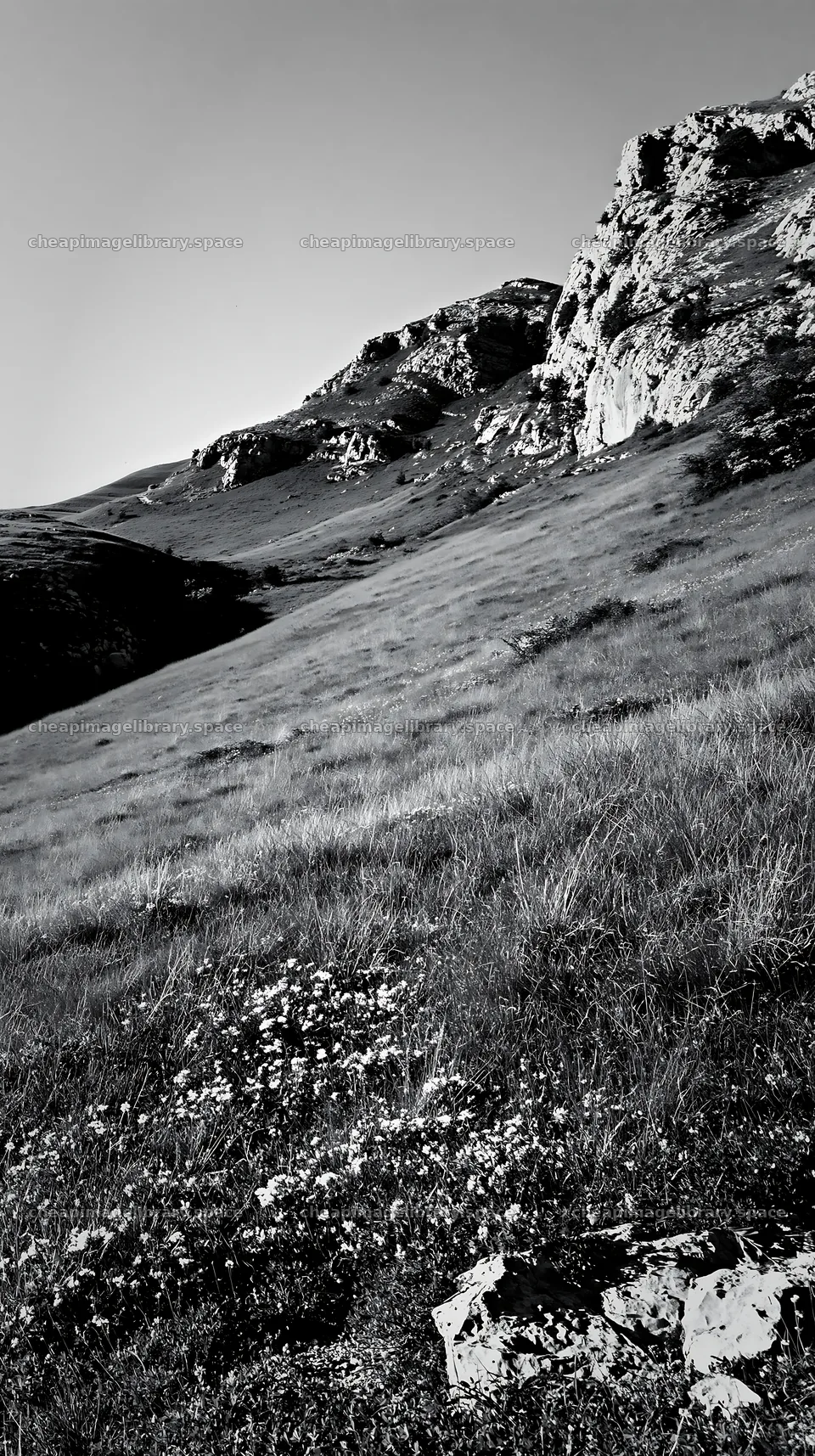 Sunny limestone meadow with rocks and grass – image library 5938x10608