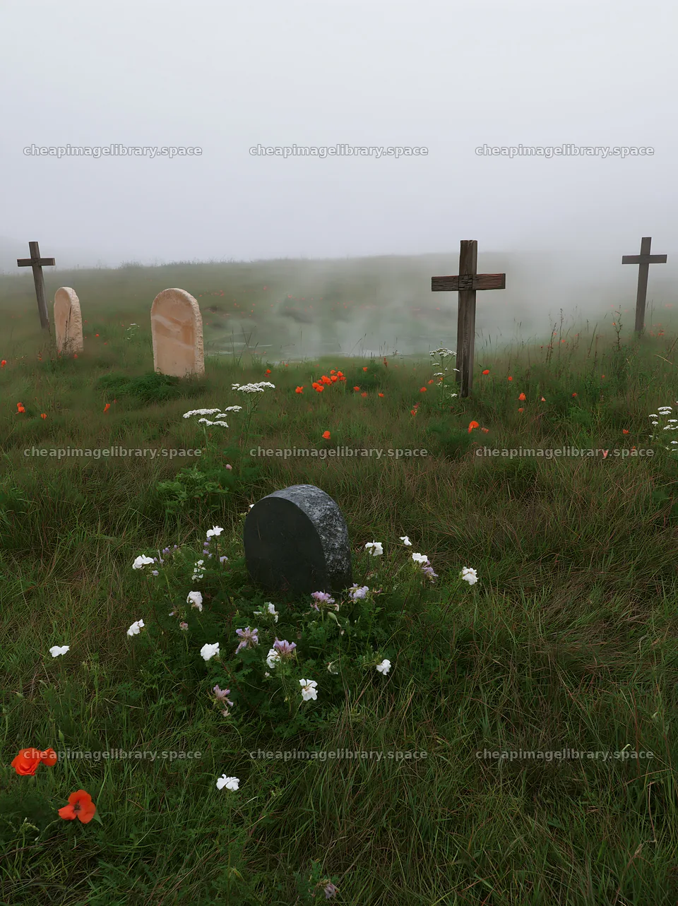 Christian crosses in geothermal spring meadow – image library 6866x9174