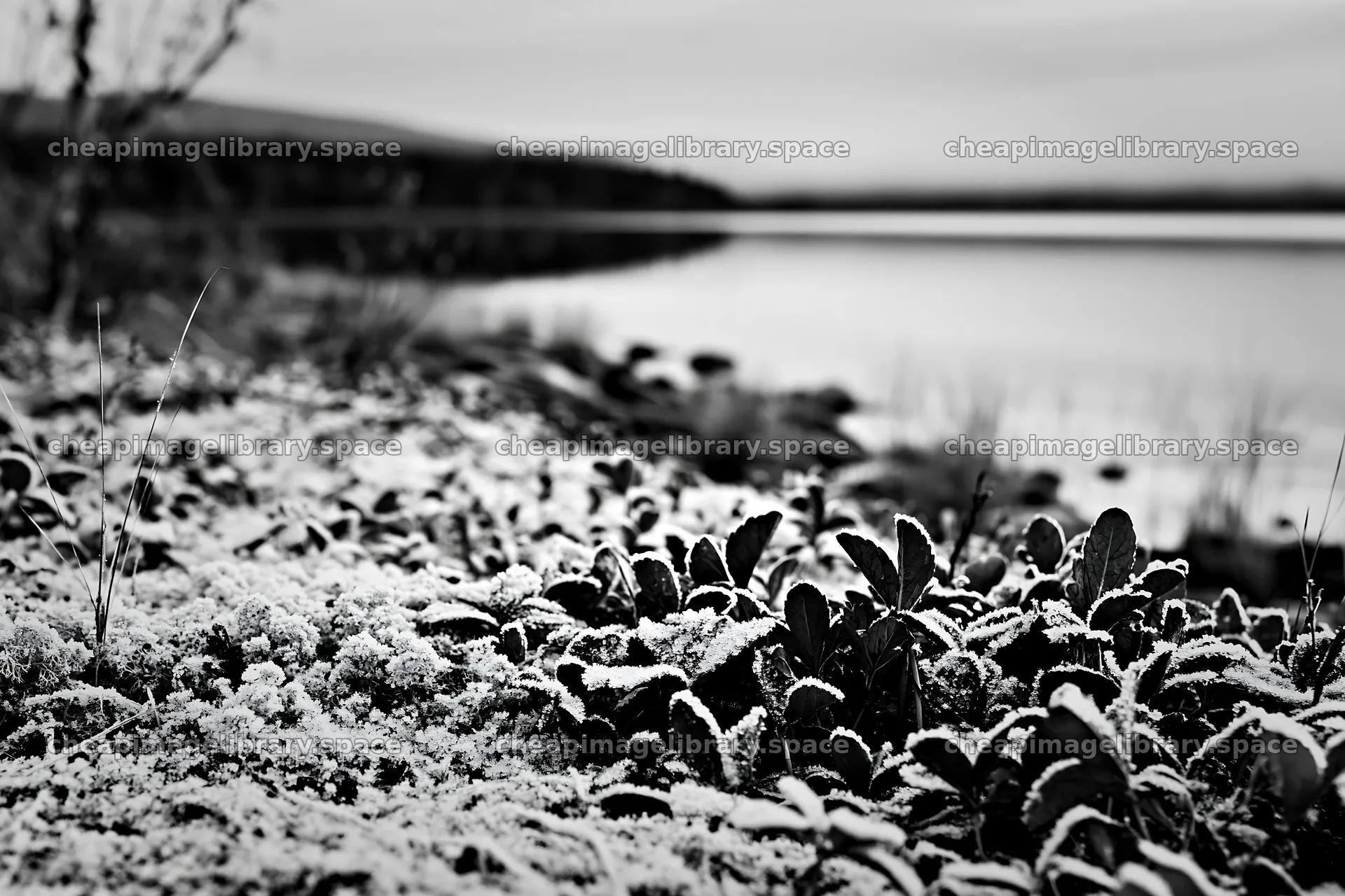 Lakeside meadow with snow near water in winter – image library 9722x6480