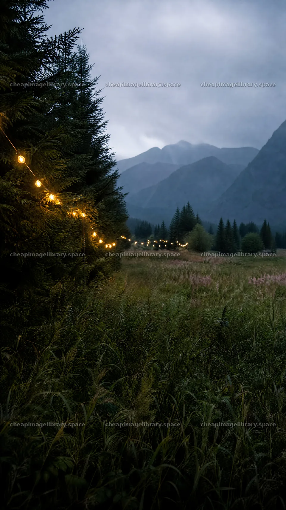 Warm Christmas lights in mountain valley meadow at dusk – image library 5952x10584