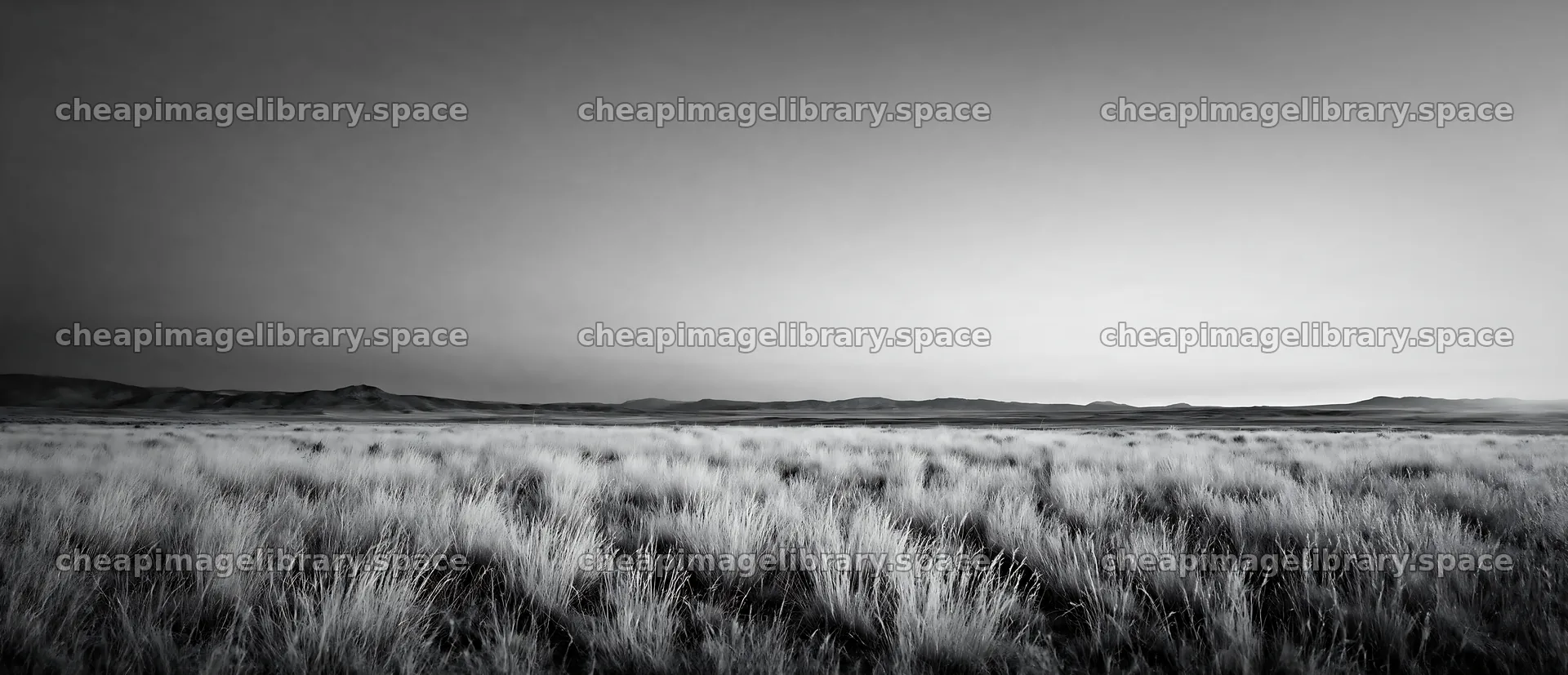 Drought-tolerant meadow under a colorful sky at sunset – image library 12094x5210