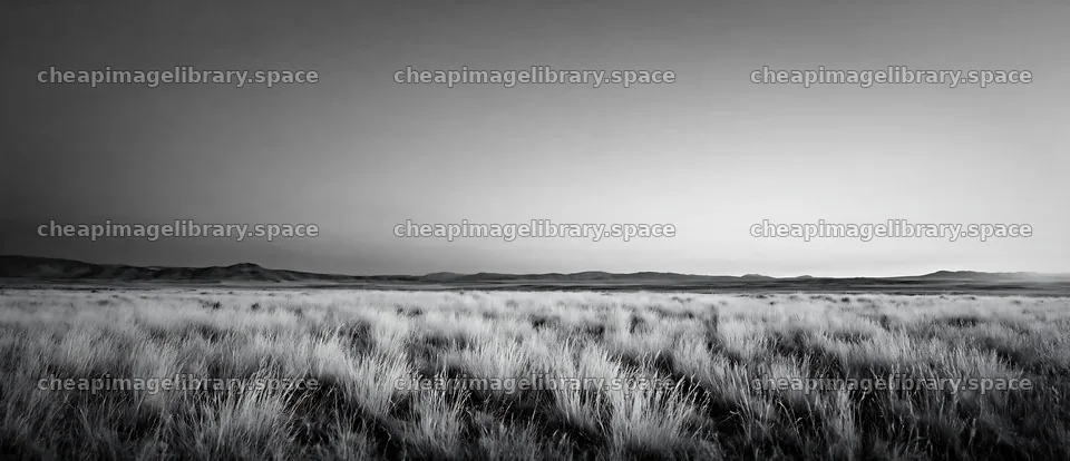 Drought-tolerant meadow under a colorful sky at sunset – image library 12094x5210