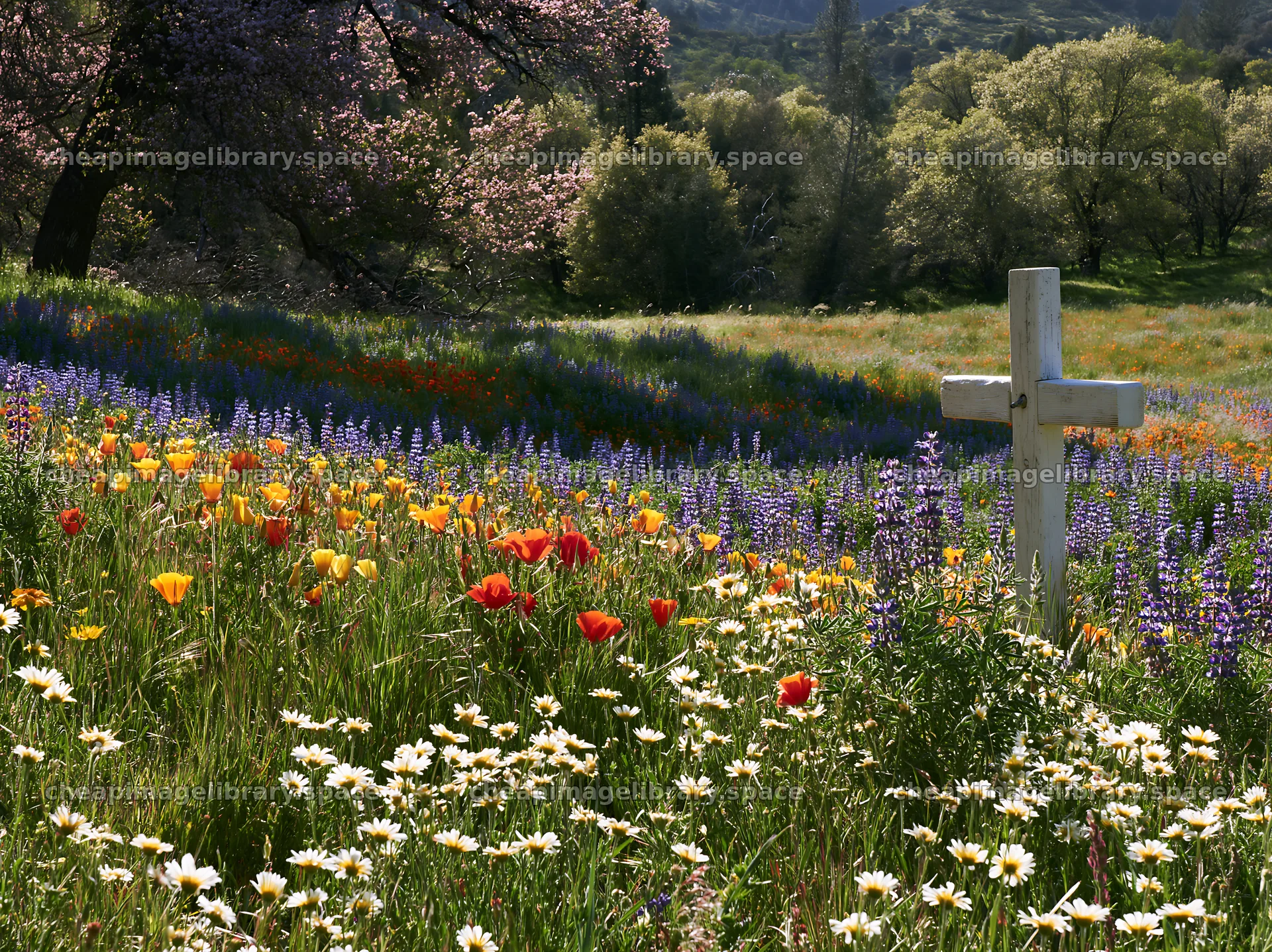 Cross in a field of flowers during Christmas season – image library 9174x6866
