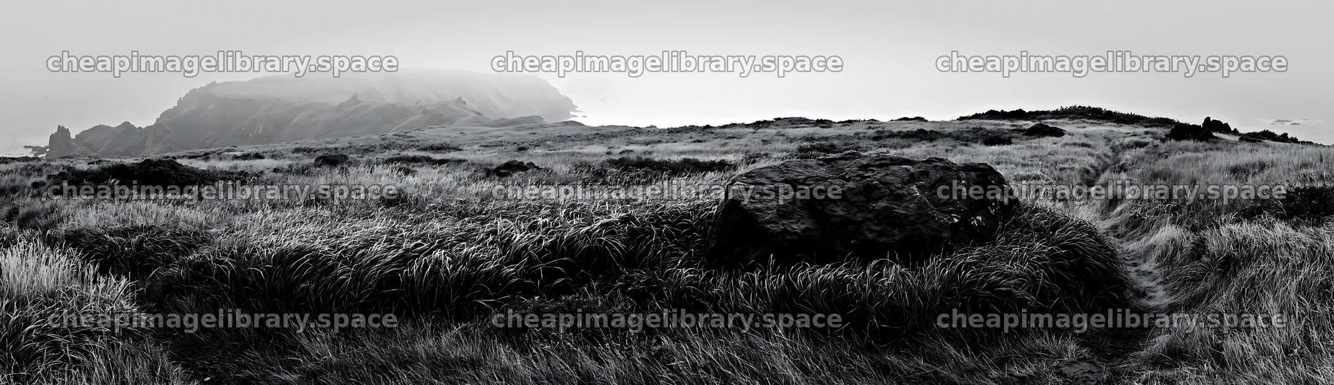 Aomori climate resilient meadow with boulder in a green setting – image library 14762x4268