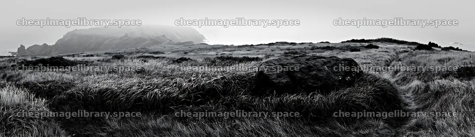 Aomori climate resilient meadow with boulder in a green setting – image library 14762x4268