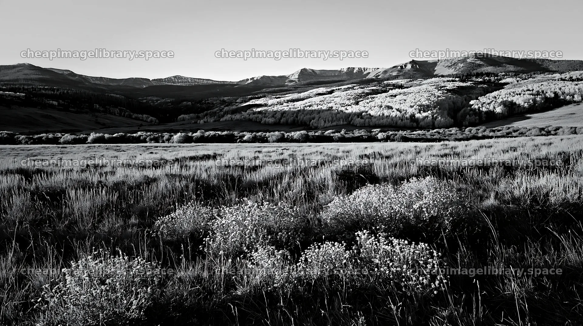 Autumn meadow with distant mountains and clear sky – image library 10608x5938