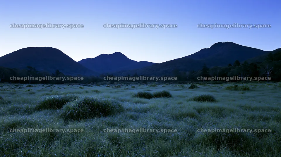 Expansive Hokkaido restoration meadow with dewdrops – image library 10608x5938