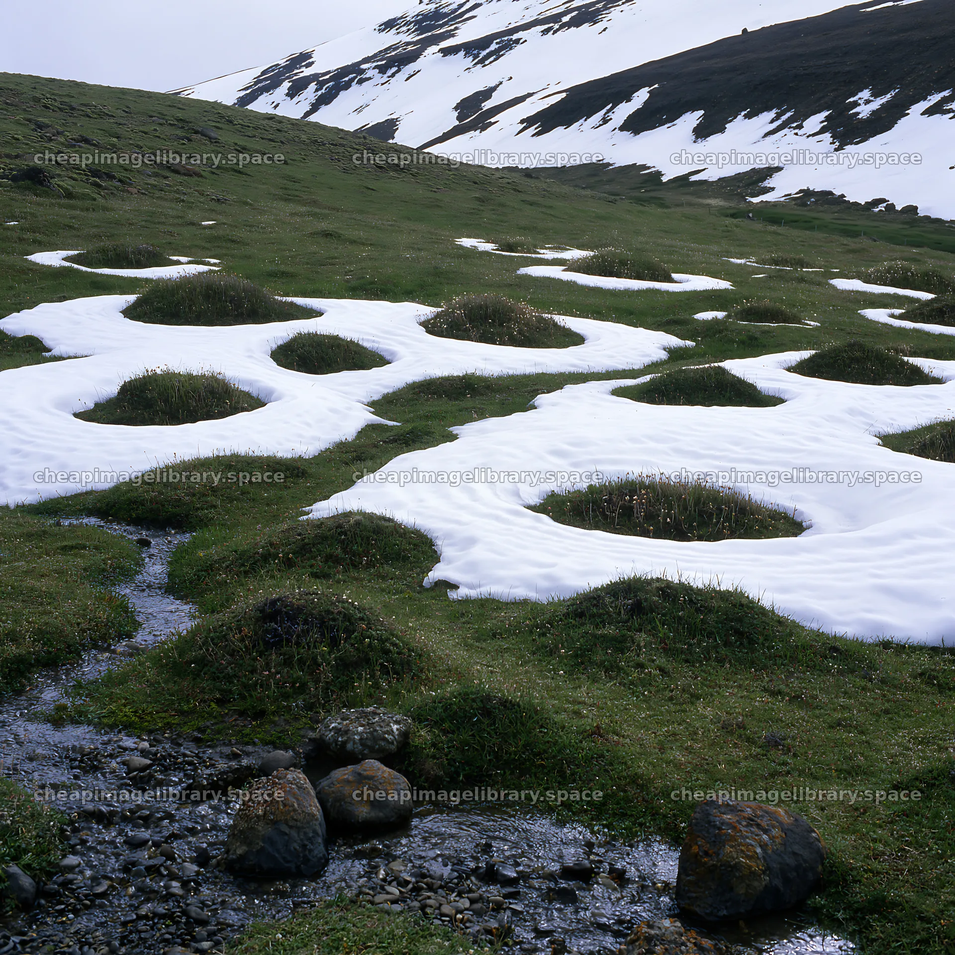 Torres del Paine meadow snow shows patches of snow on the ground – image library 7938x7938
