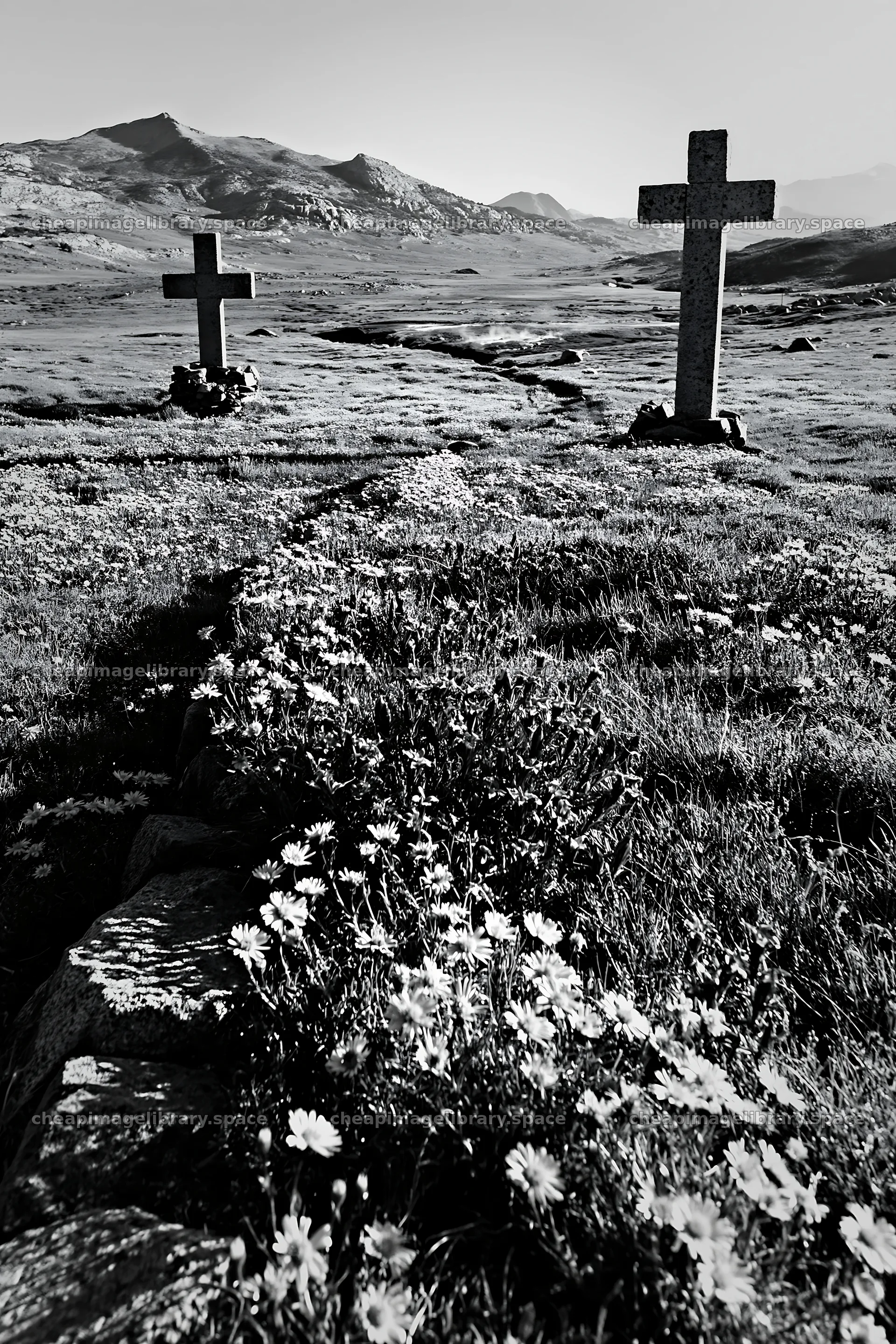 Two Christian crosses in a thermal spring meadow – image library 6480x9722