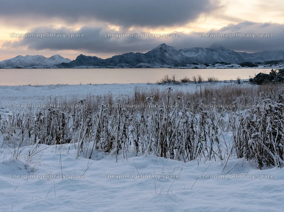 Lofoten coastal meadow winter snow during sunset – image library 9174x6866